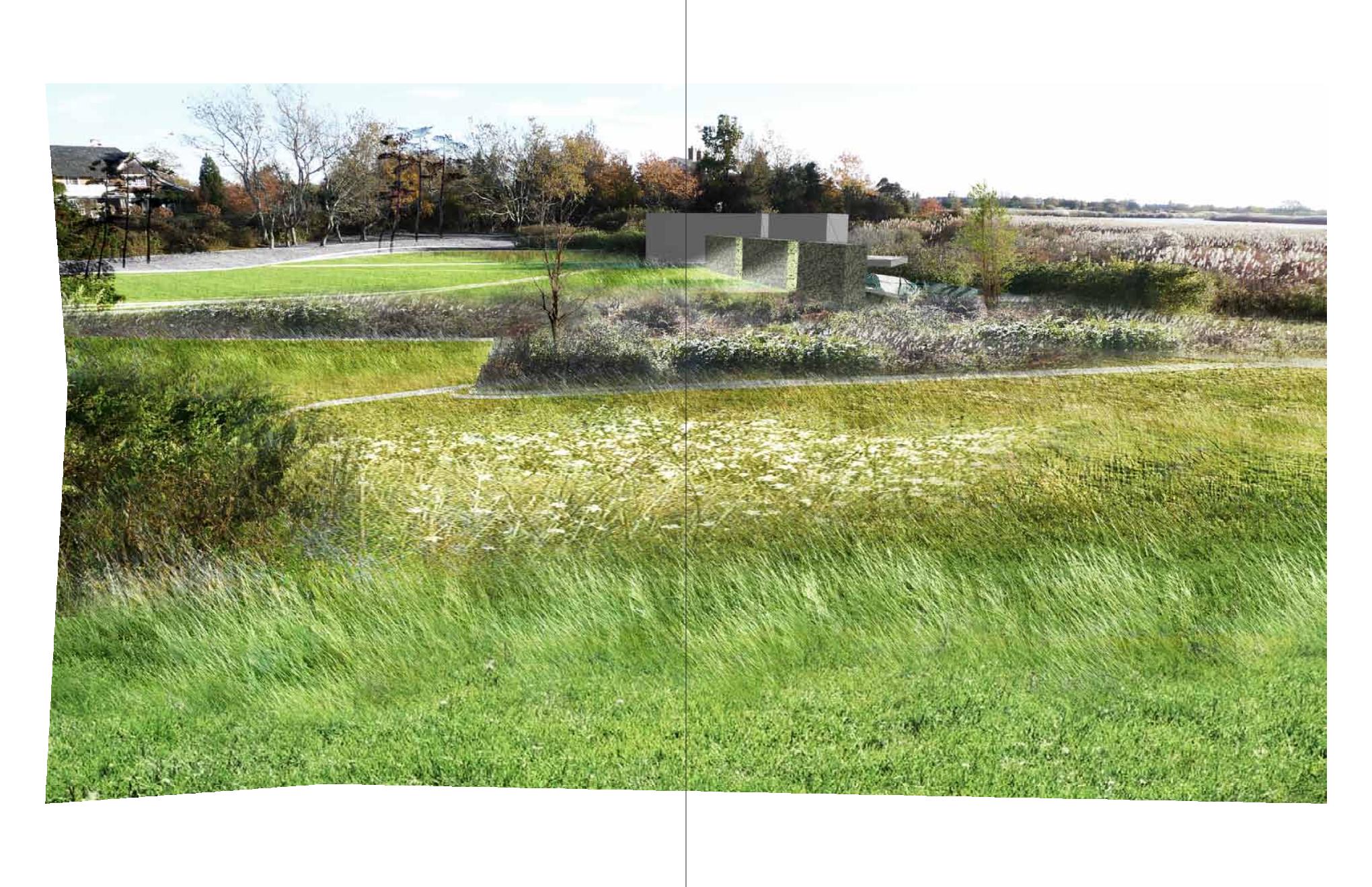 VERDANT, Sagaponack, Mac Carbonell designer, Contemporary landscape, New York landscape design