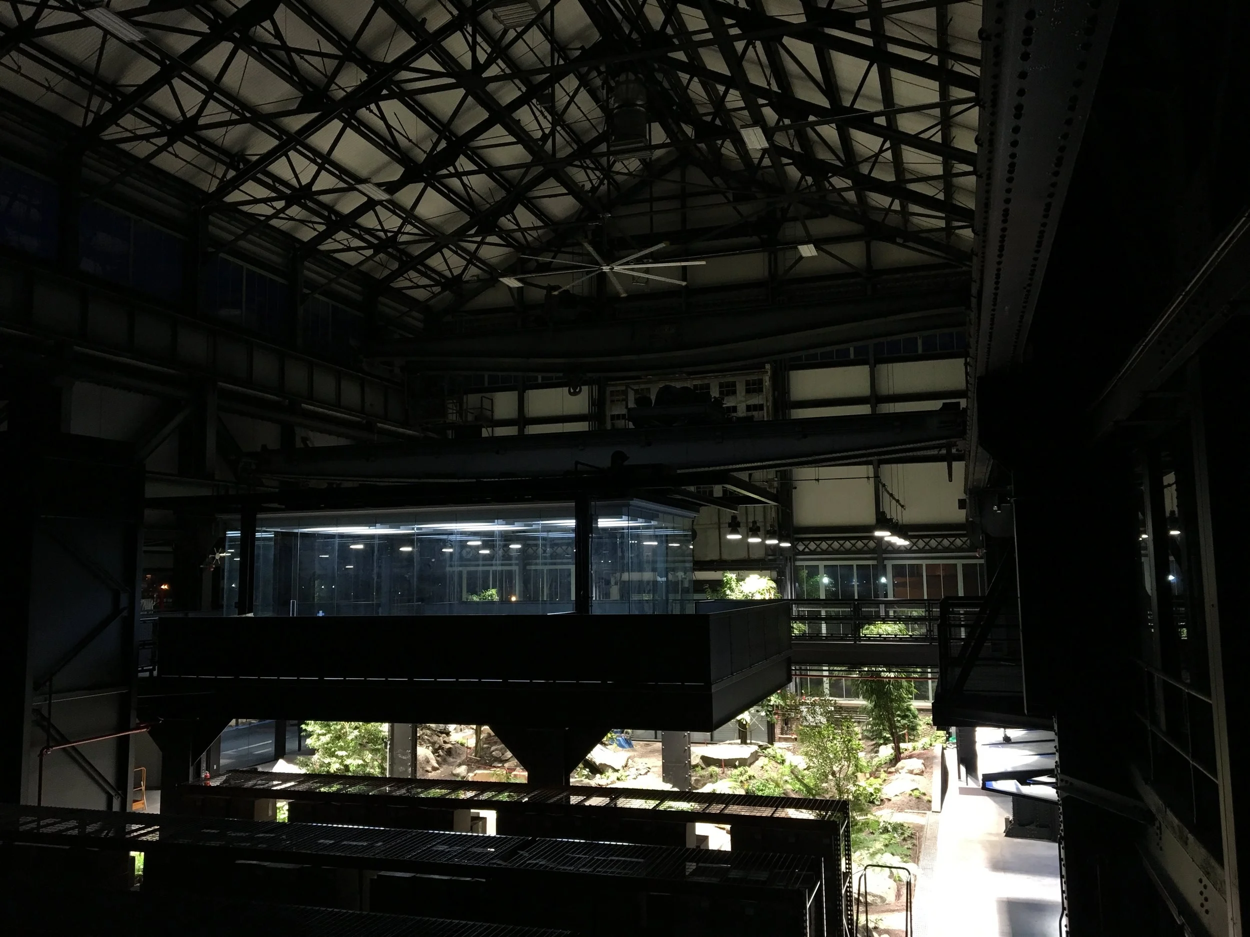 VERDANT,+The+Enclosed+Forest,+Mac+Carbonell+designer,+Contemporary+landscape,+New+York+landscape+design.jpg