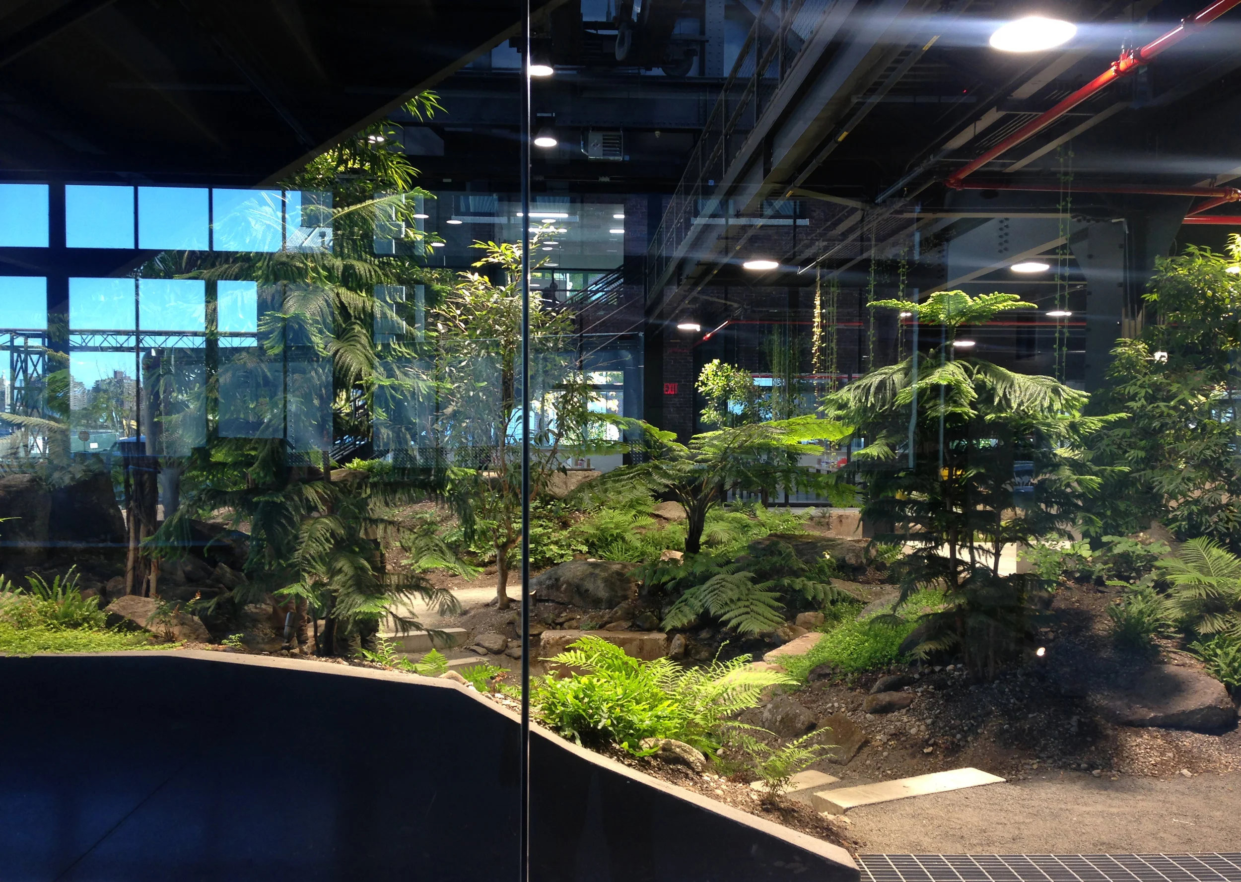 VERDANT,+The+Enclosed+Forest,+Mac+Carbonell+designer,+Contemporary+landscape,+New+York+landscape+design57.jpg