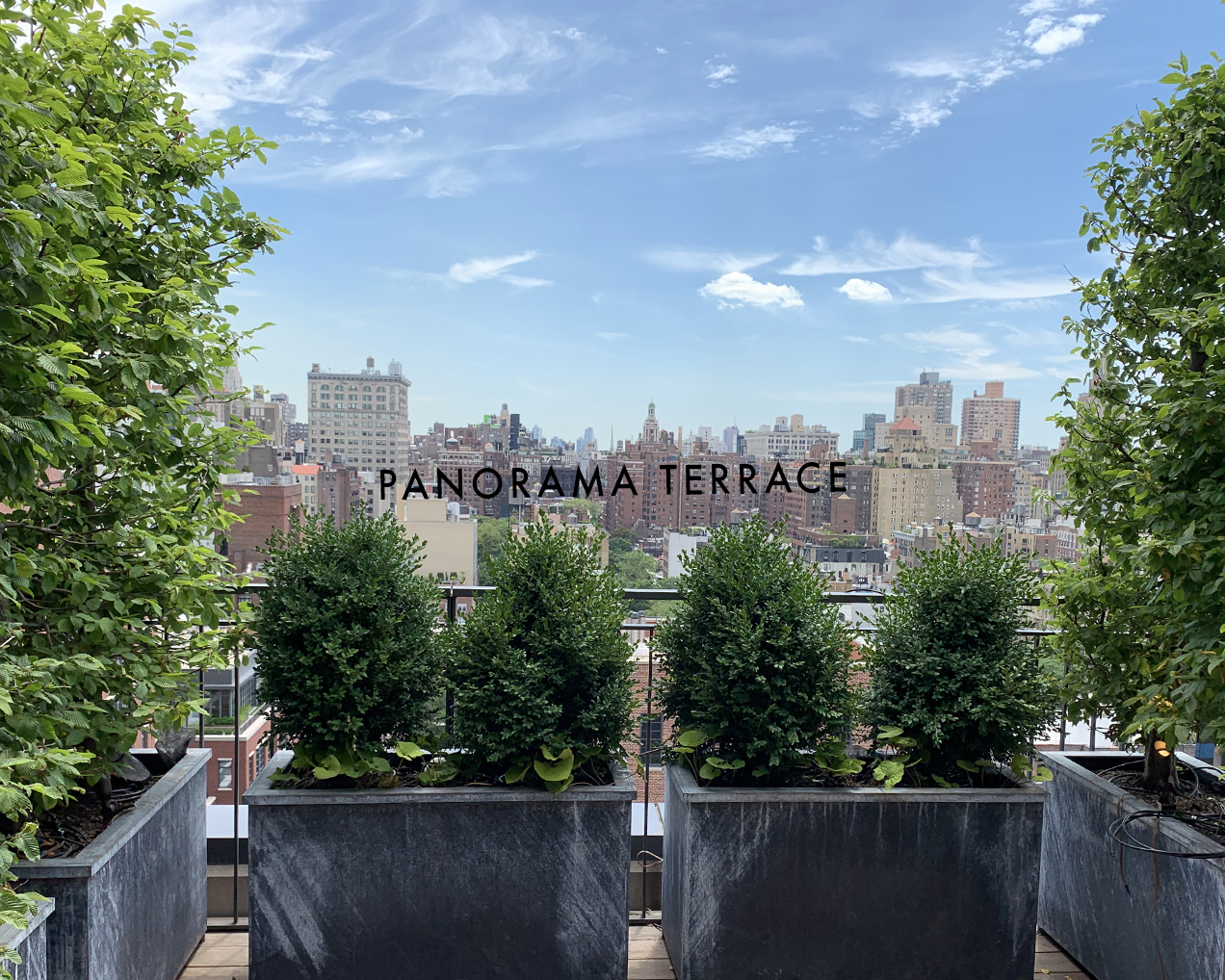 Panorama Terrace TITLE.jpg