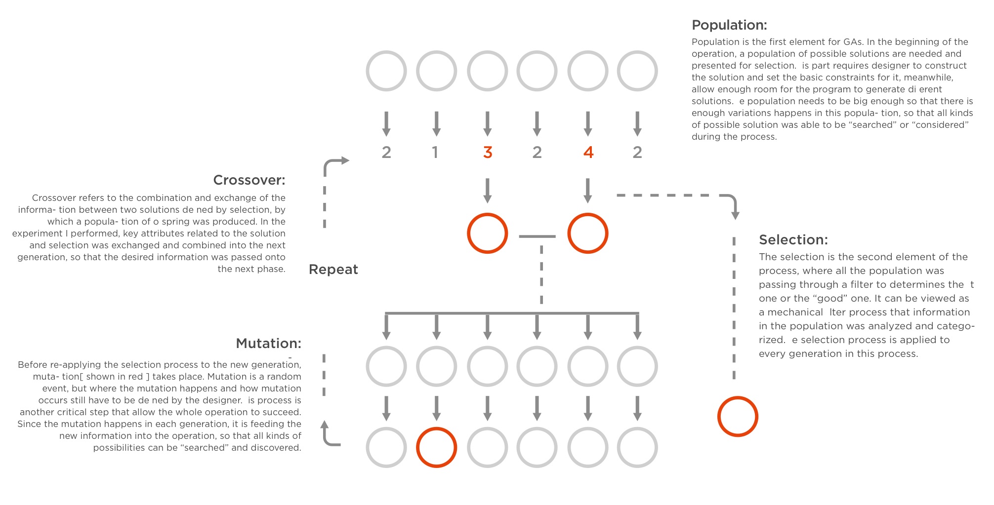 Evolution Diagram.png