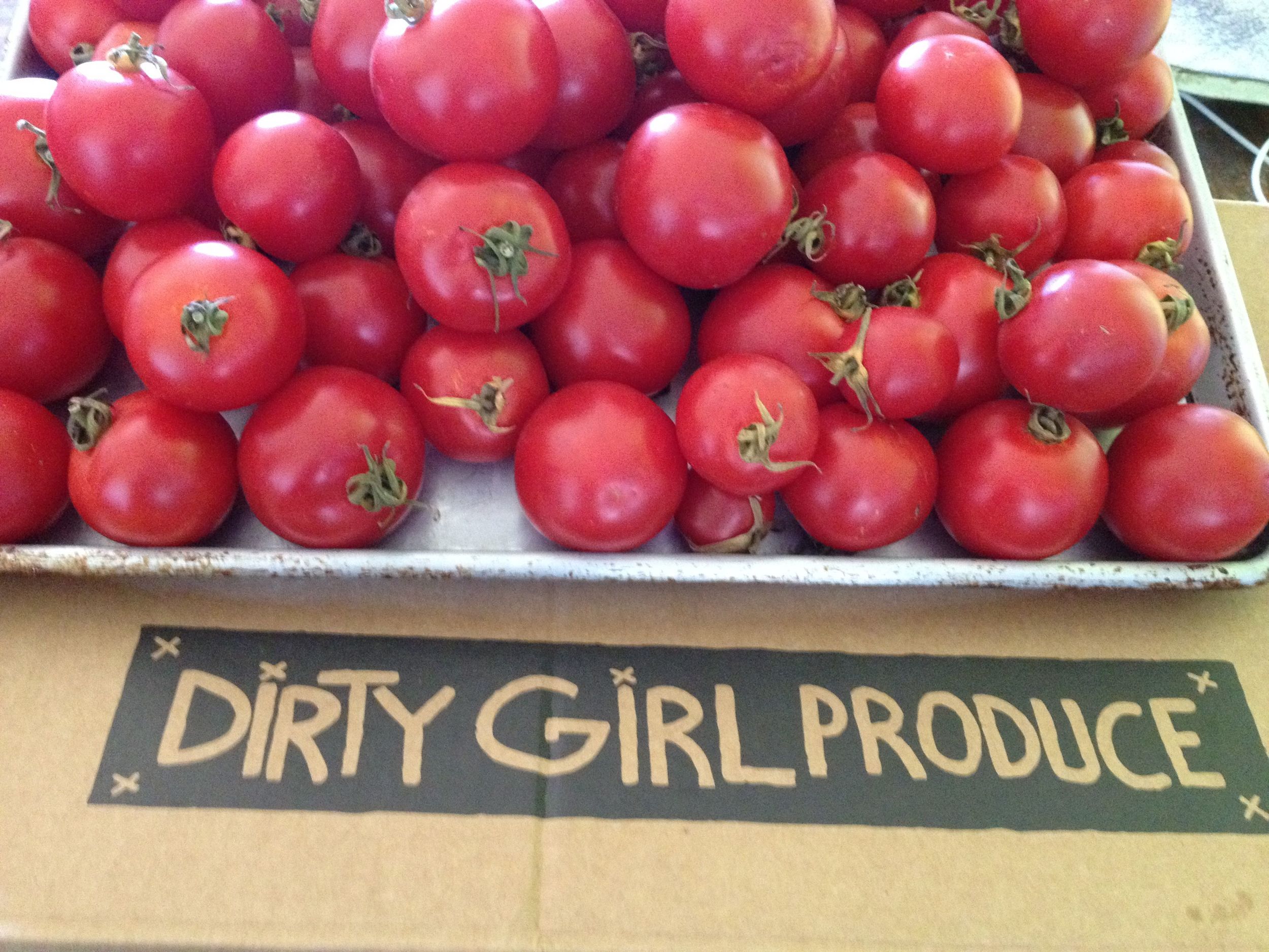 Organic tomatoes grown by Dirty Girl Produce. 