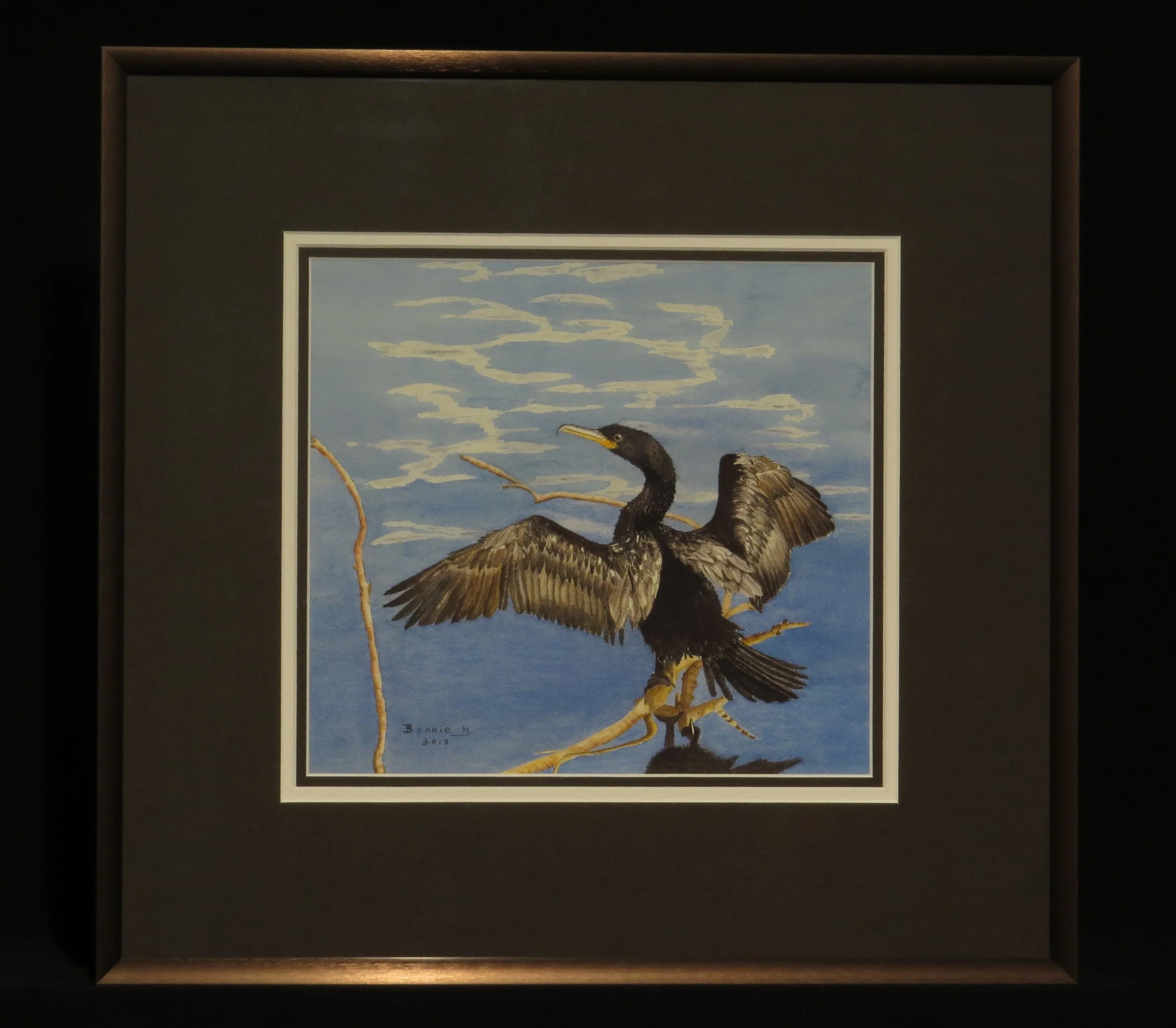 Anhinga - Reflections