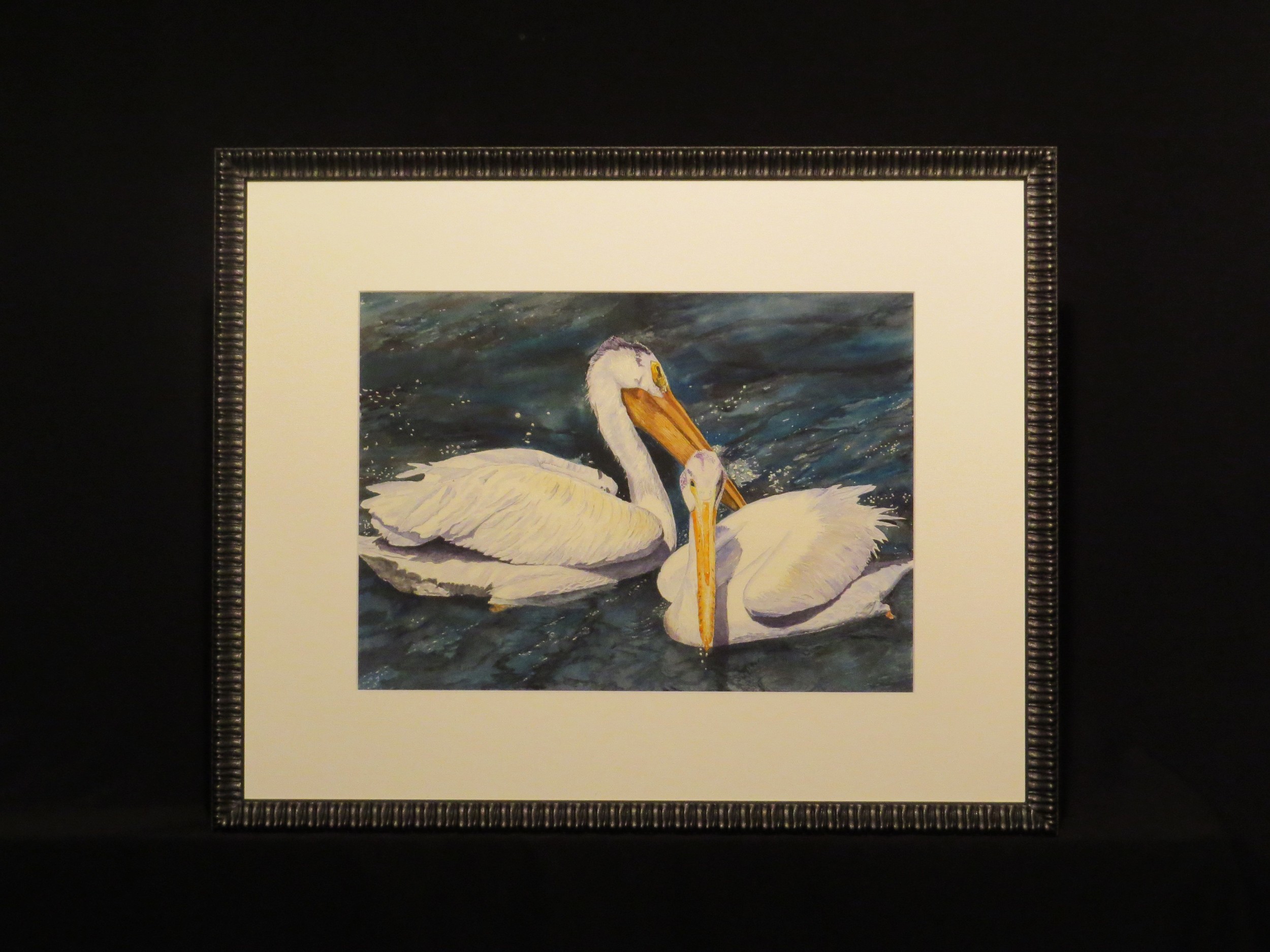 Pelicans at Lockport Dam
