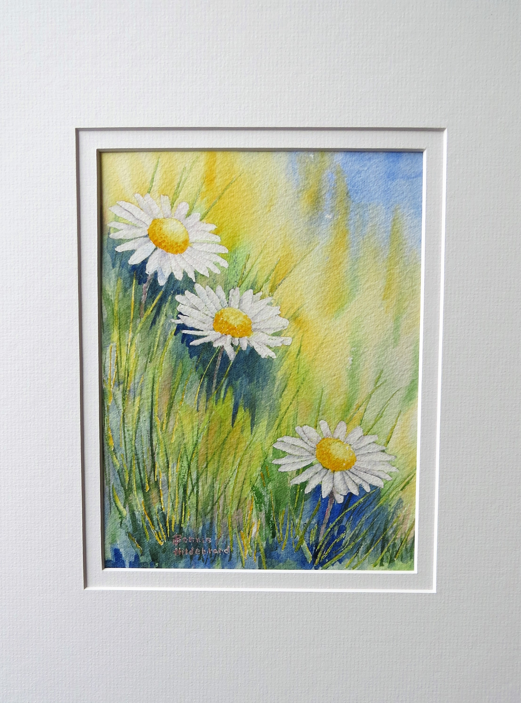 Woodland Daisies # 1