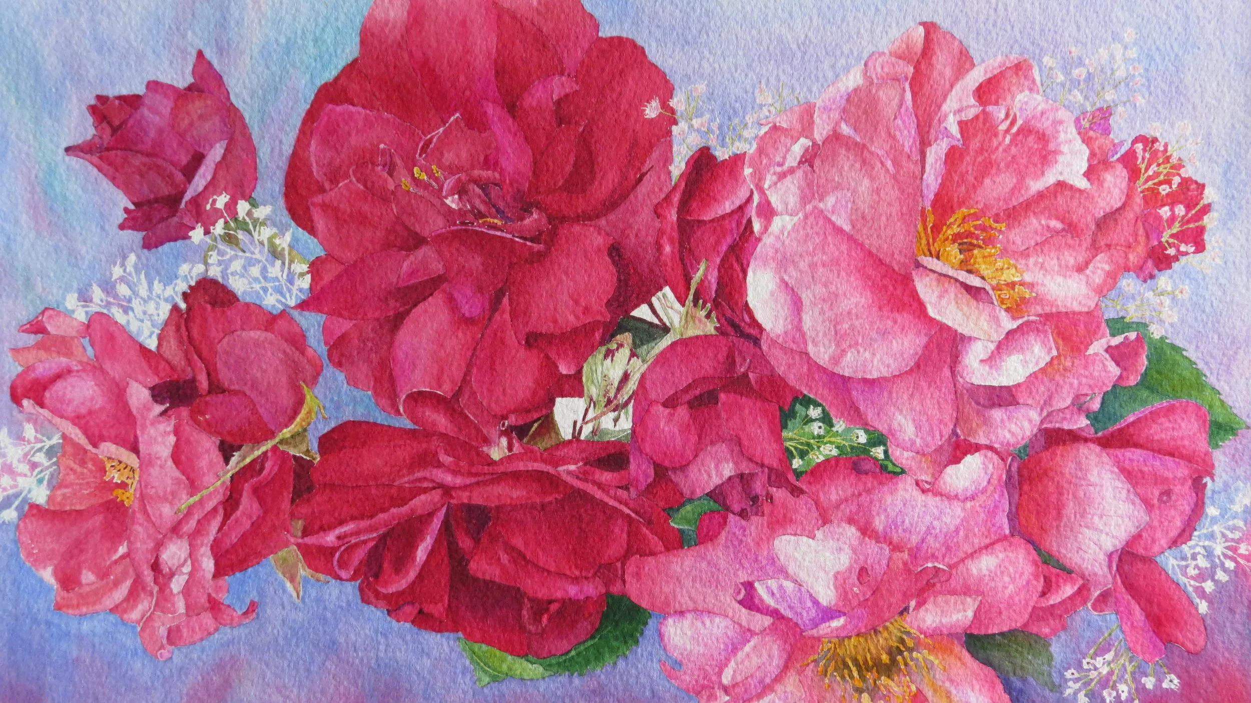 Roses in full bloom - SOLD