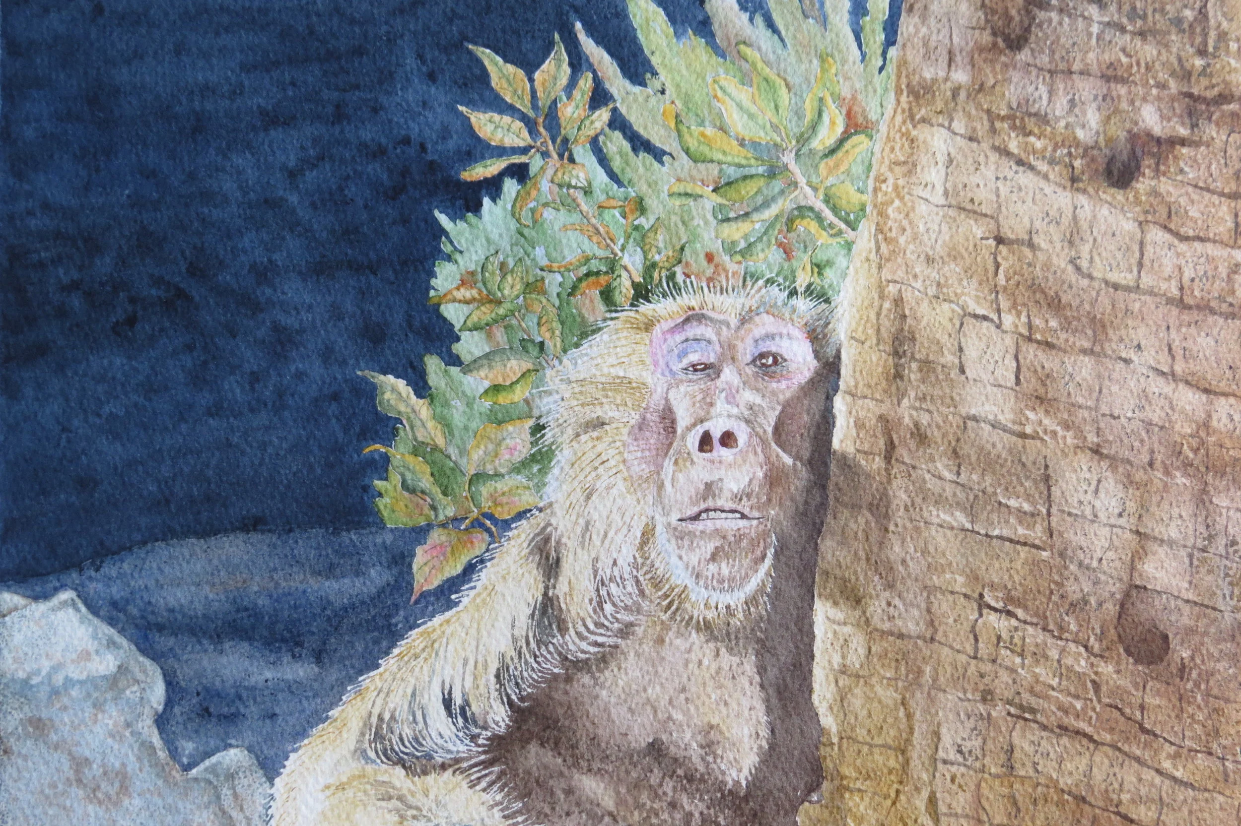 Napping - Phoenix Zoo