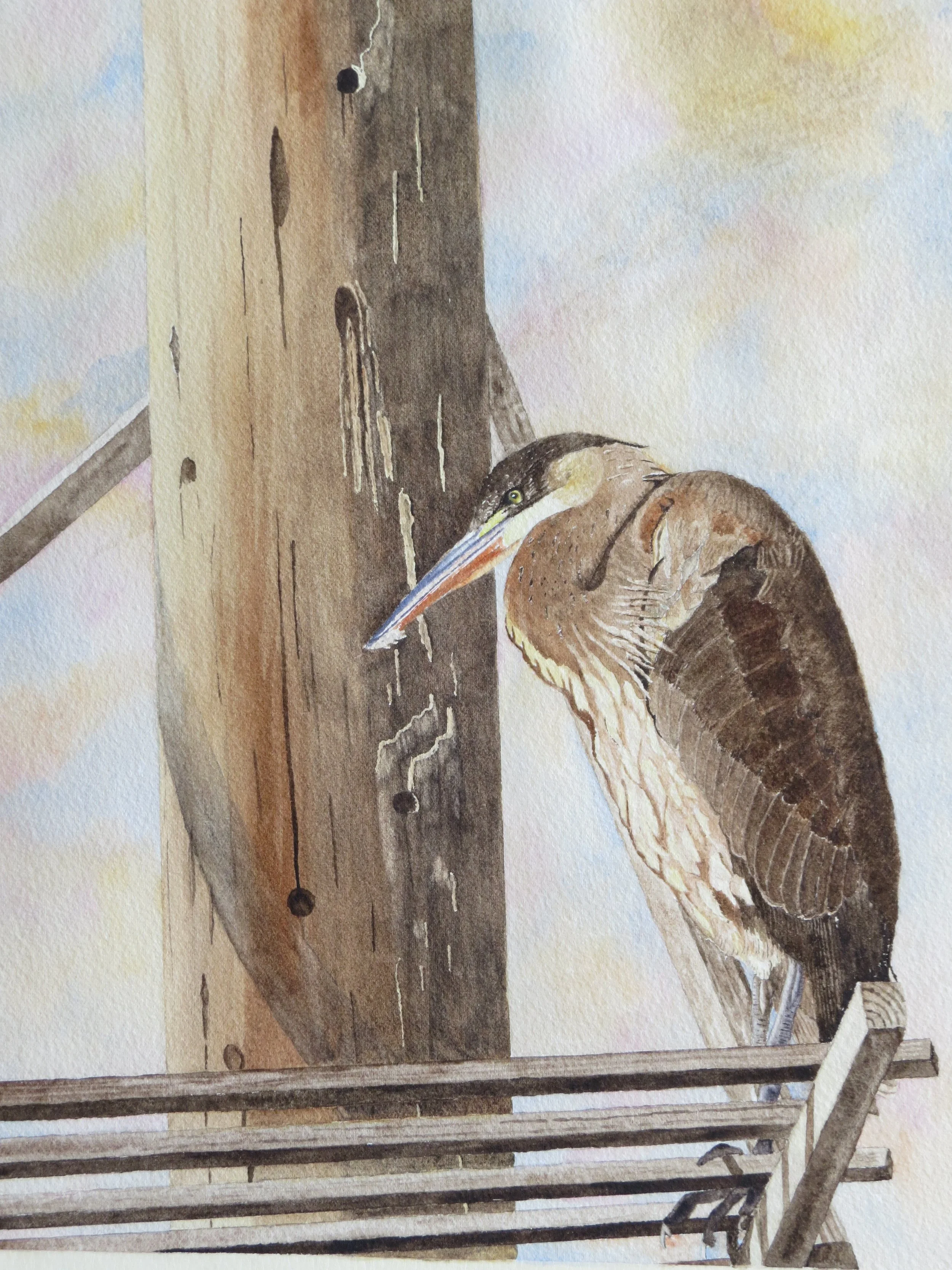 Surveying His Domain