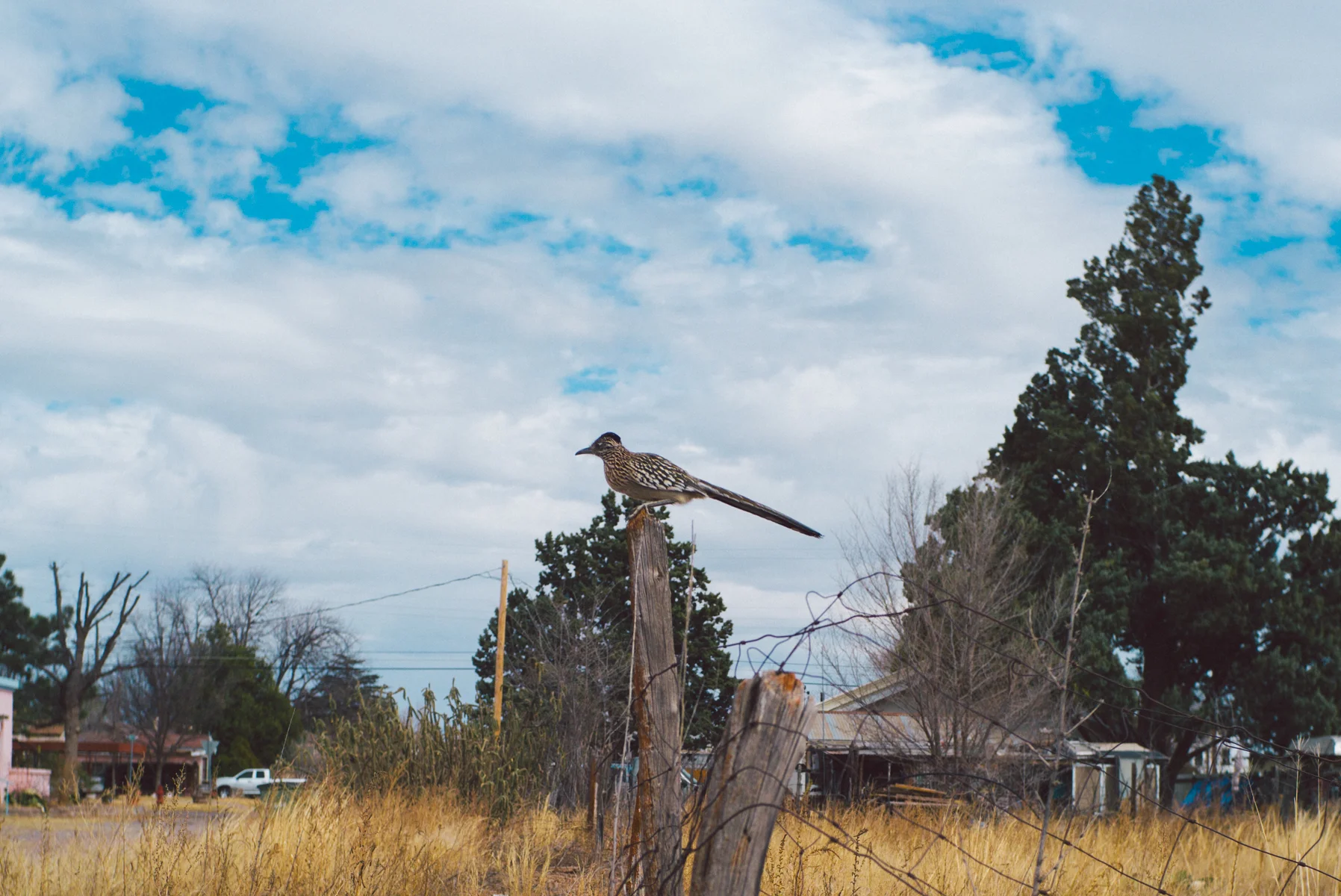 marfa-1008514.jpg