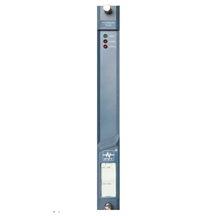 PT2060/31 TEMP Temperature Module