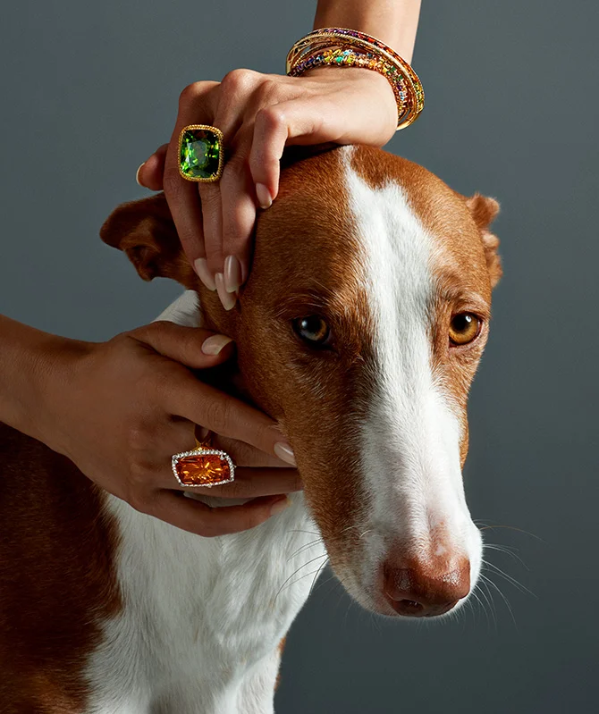 woman-in-rainbow-jewelry-and-dog.jpg