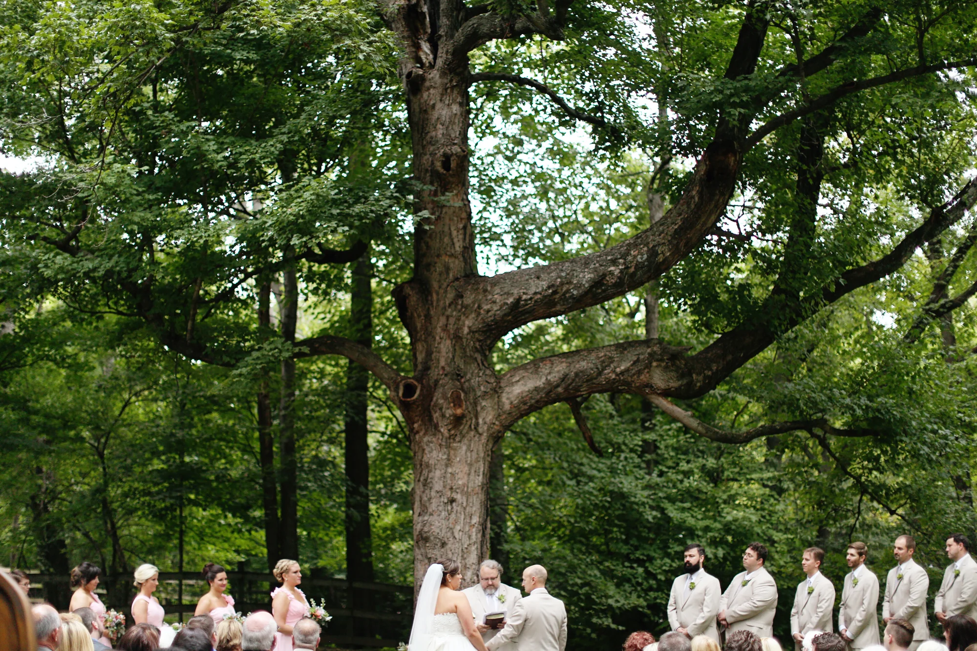 Nashville Zoo Real Wedding | Featured on Borrowed and Blue!