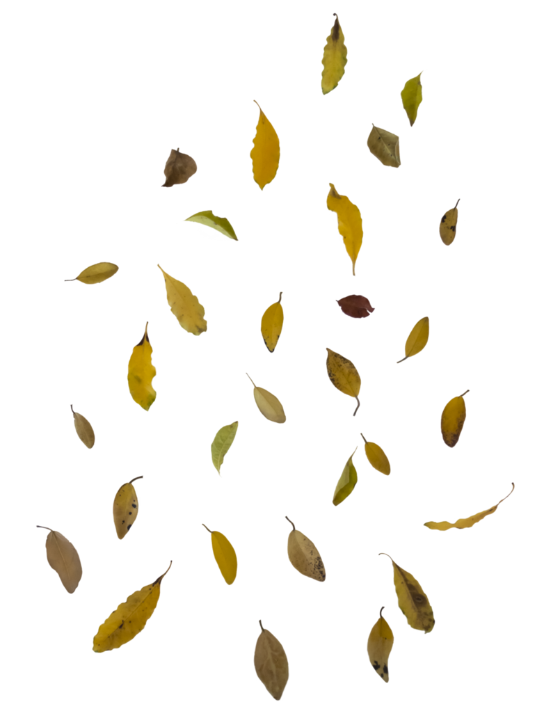 758a85707c06bd4a1d1a19f2a72f06a2.png