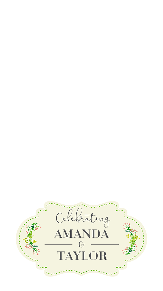 Labeled Geofilter.png