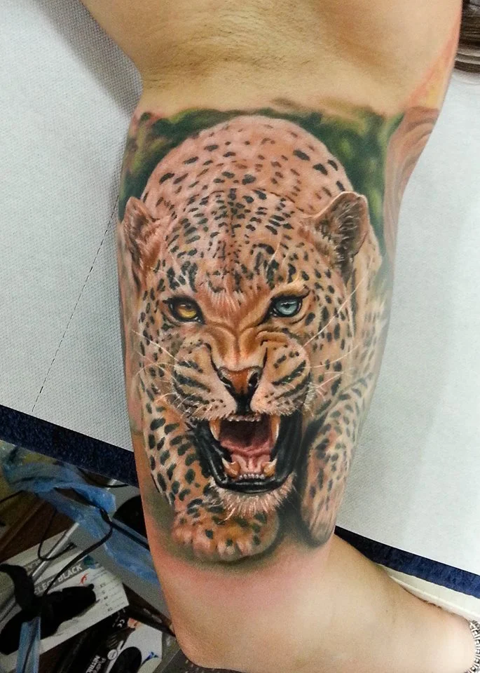 leopard.jpg