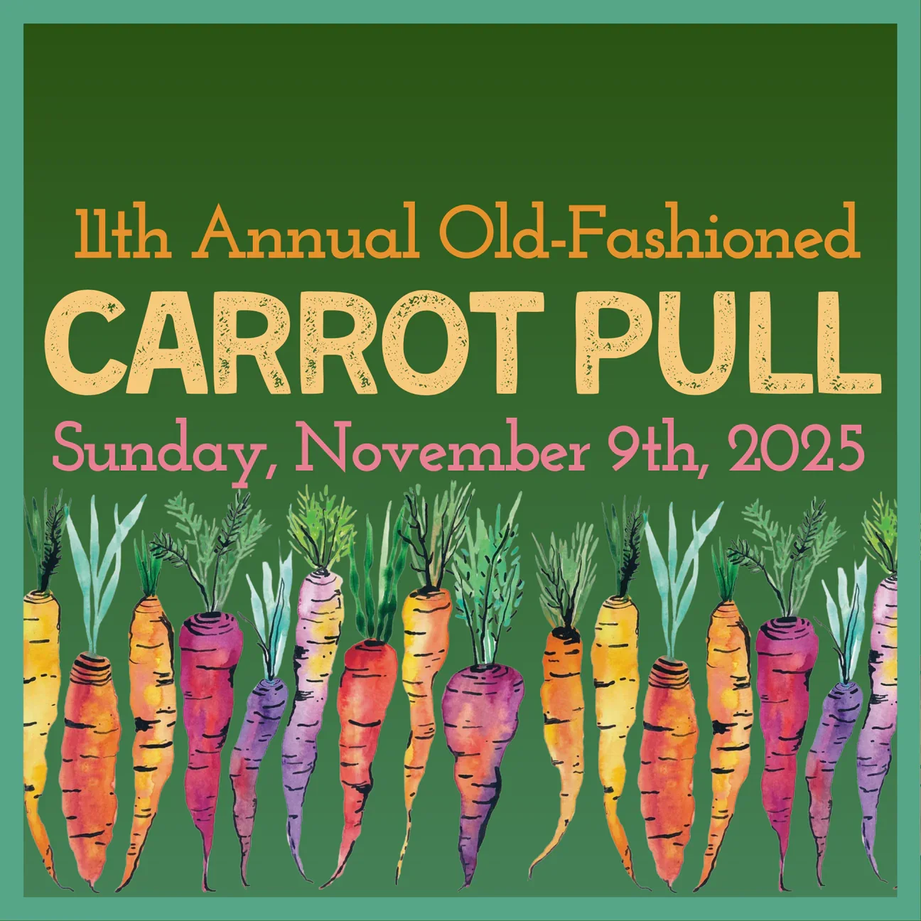 Carrot_Pull_4_1296x.webp