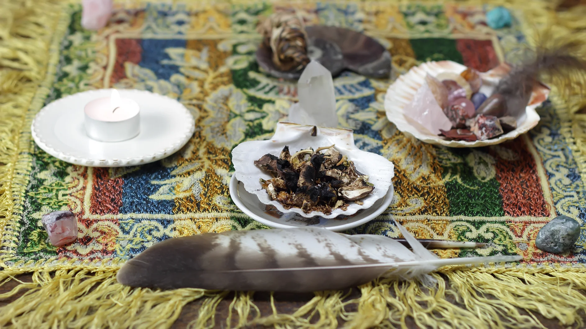 Circle of Transformation:  Direction of West Sherry Mickleberry and Denise Alexander 