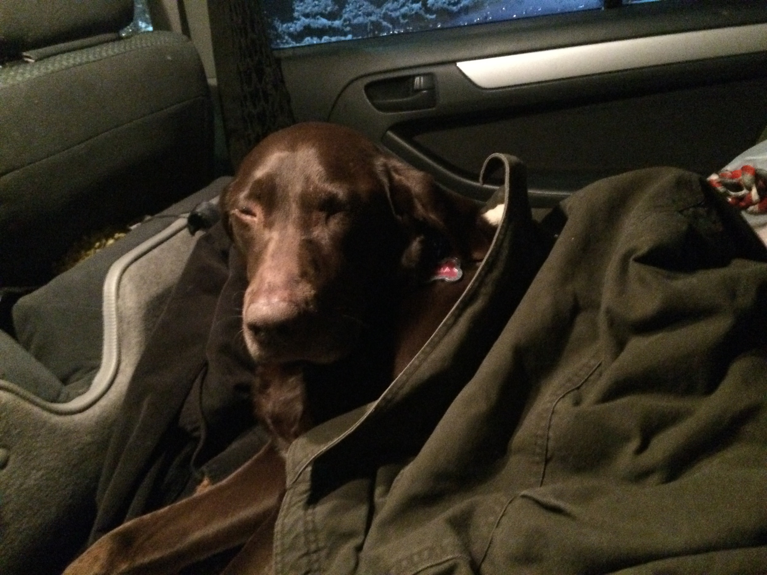 All tucked in.