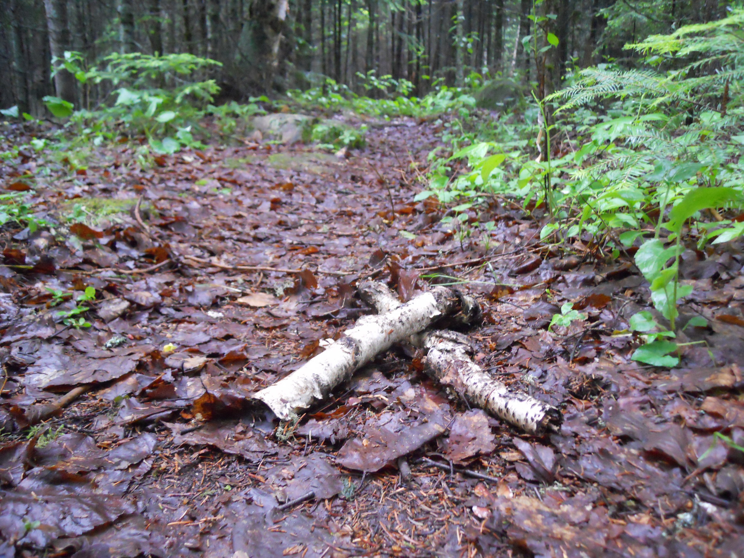 Trail to the Slammer X= Occupado