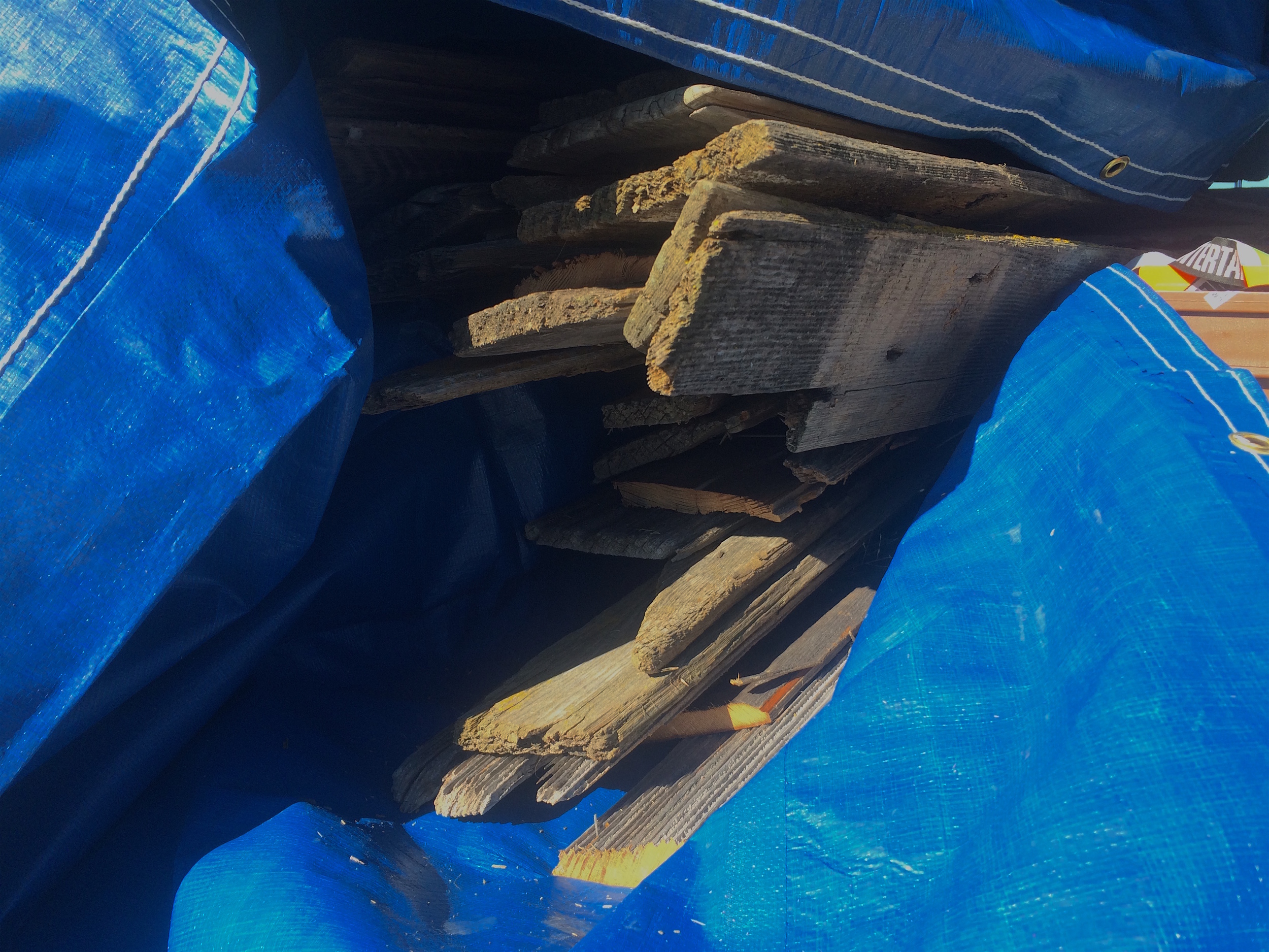 That should do it. Piled up and tucked into a nice tarp blanket