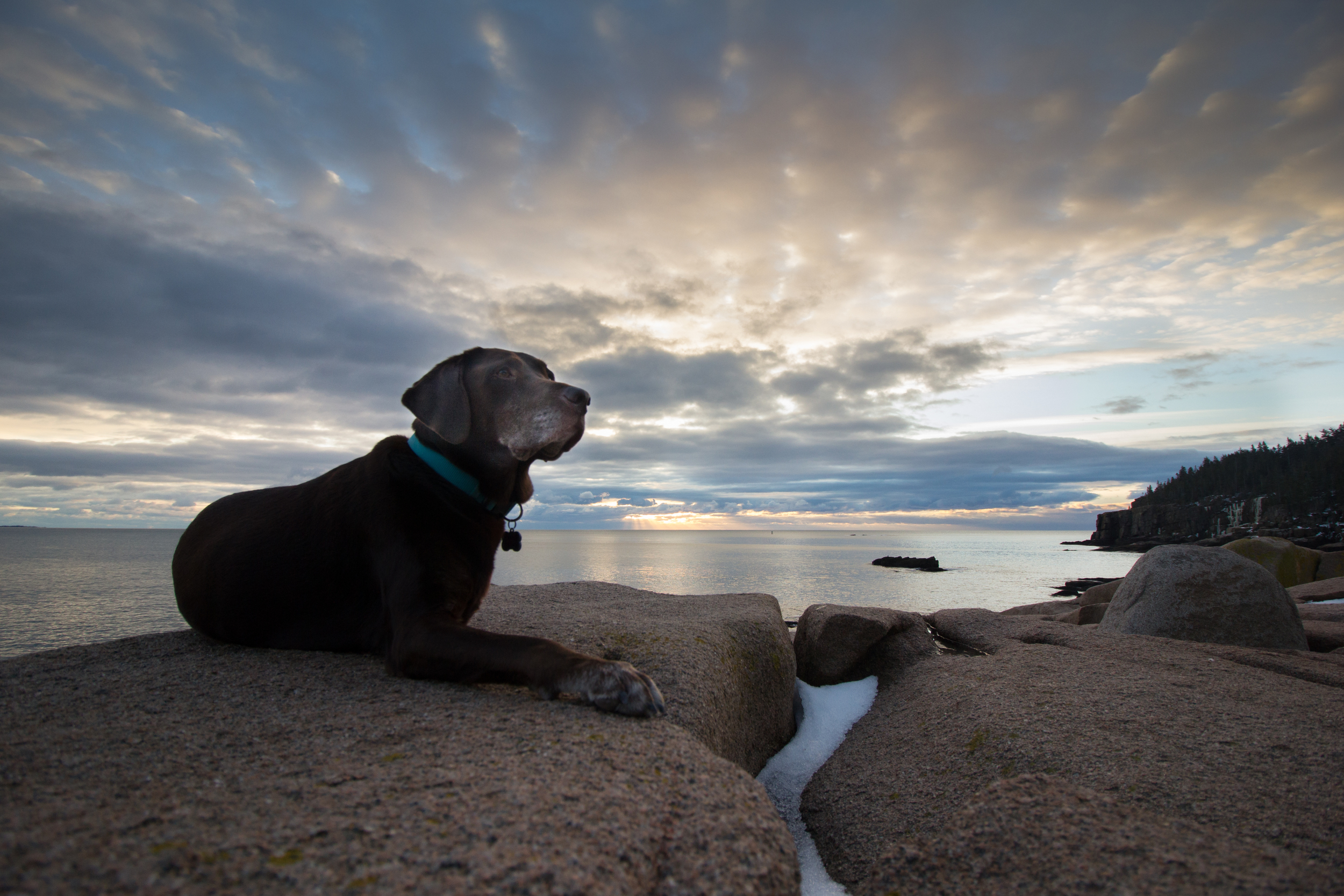 BellaSunrise2016.jpg