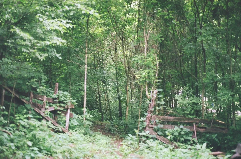 05880021-960x636.jpg