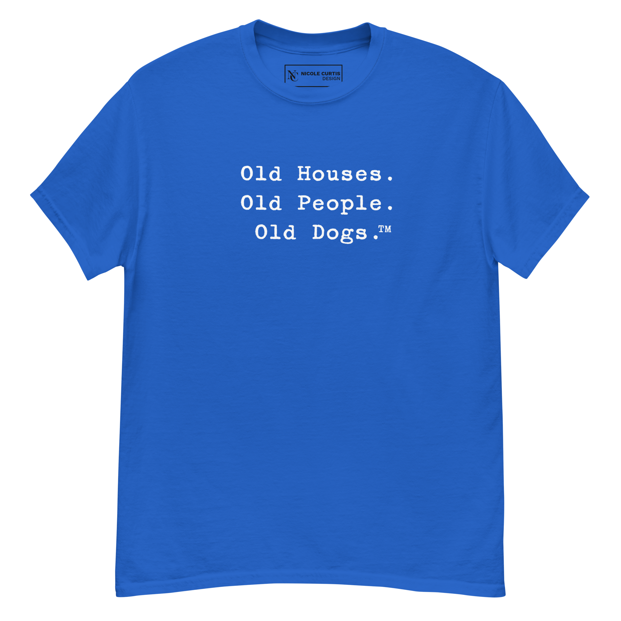 unisex-classic-tee-royal-front-693b0c399d358.png