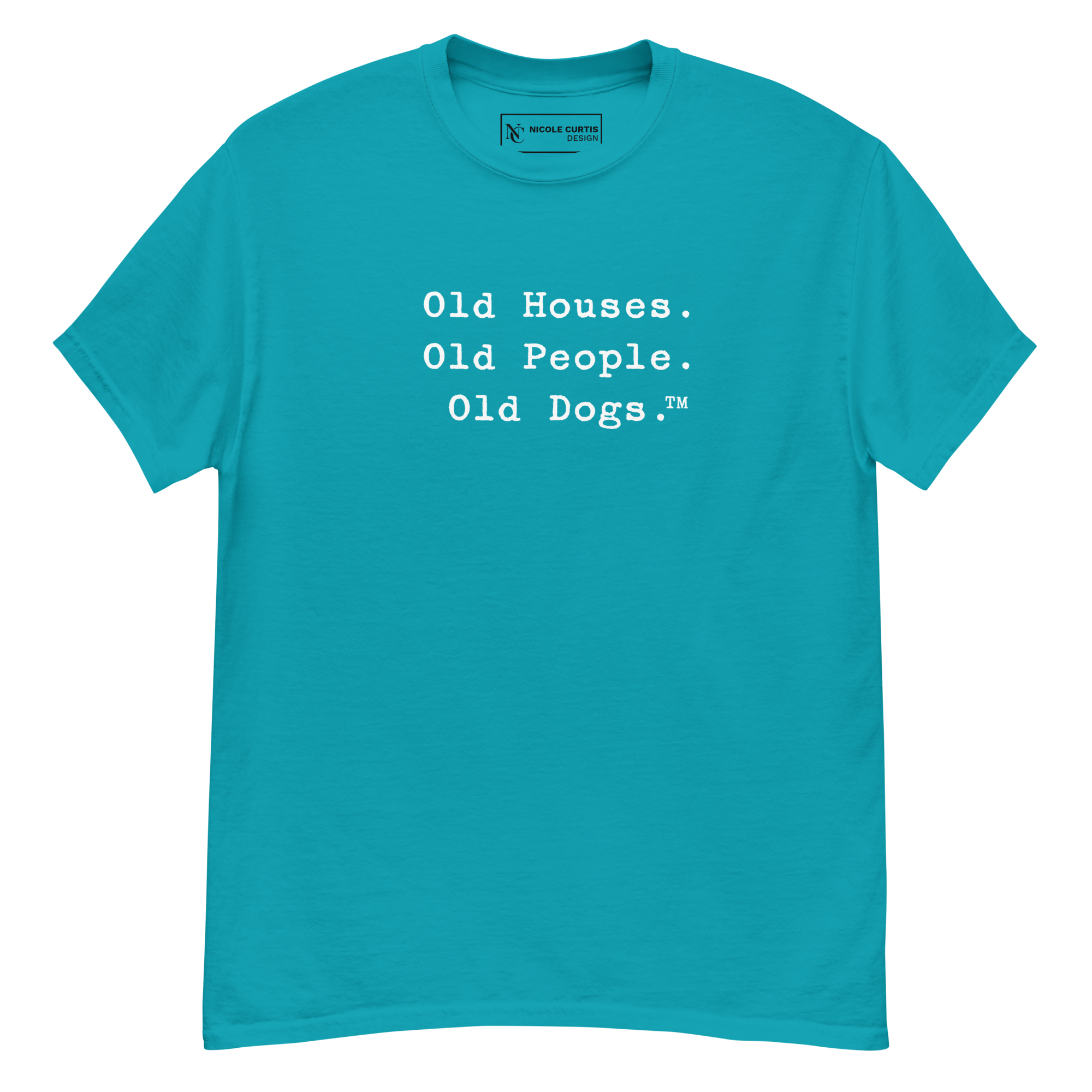 unisex-classic-tee-tropical-blue-front-693b0c39ad324.png