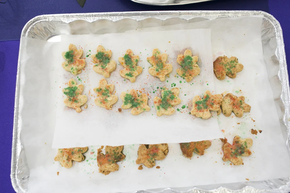 Keto_2015_018.jpg