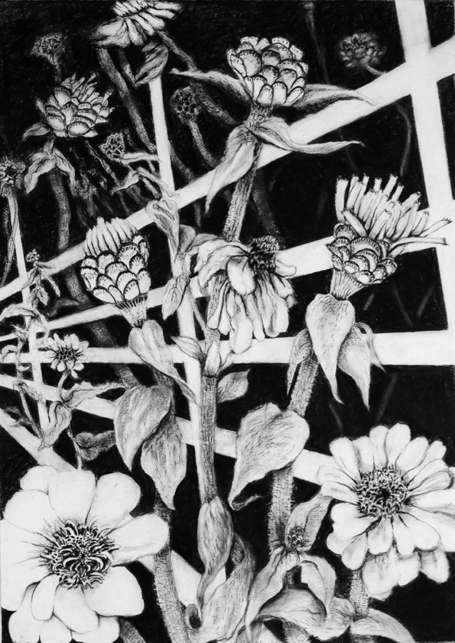 Midnight Garden