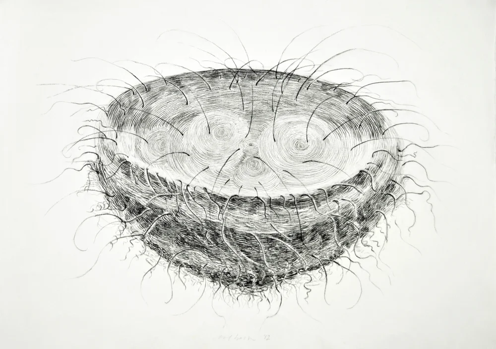 Curlicue Nest