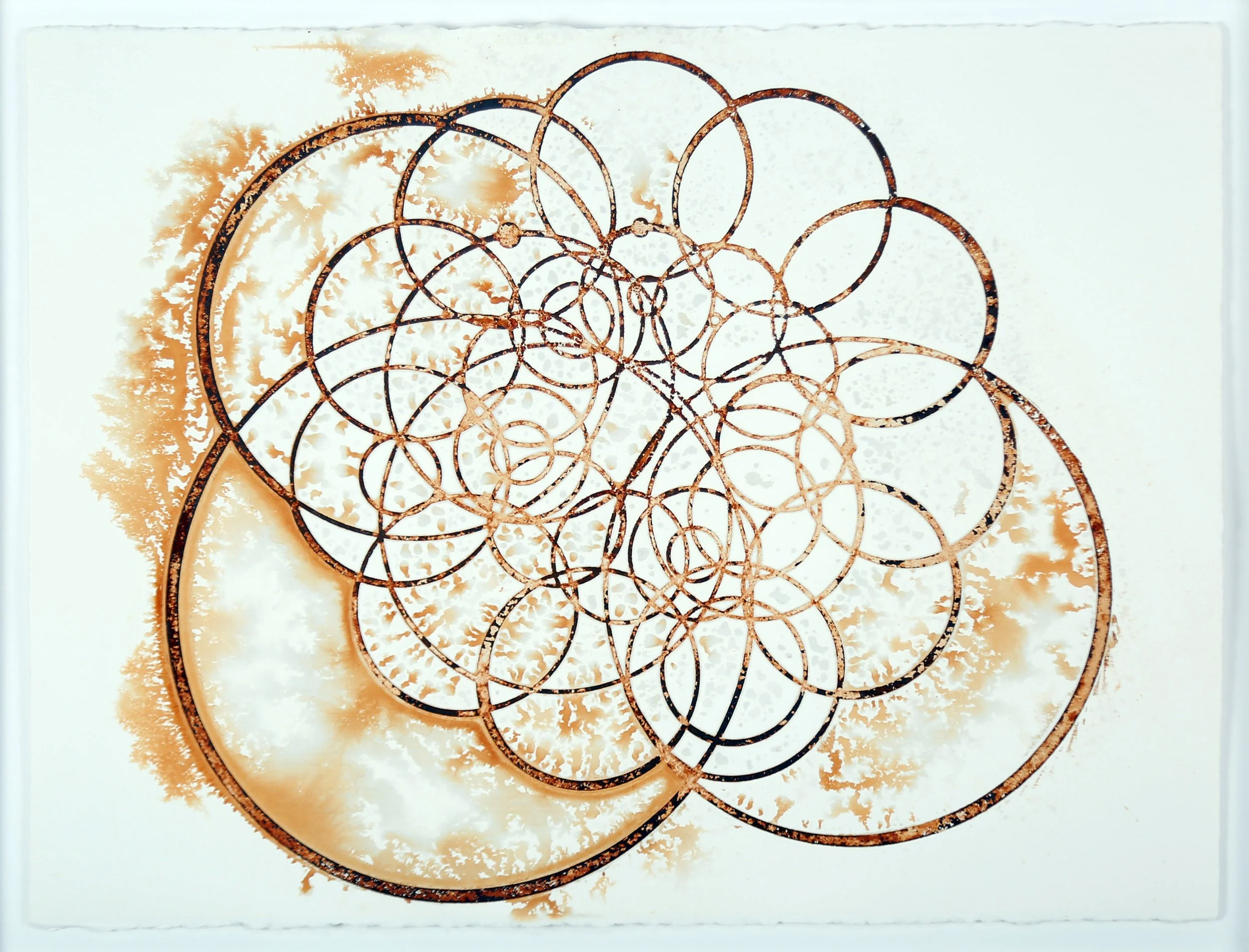 Absolute Impression (2021)