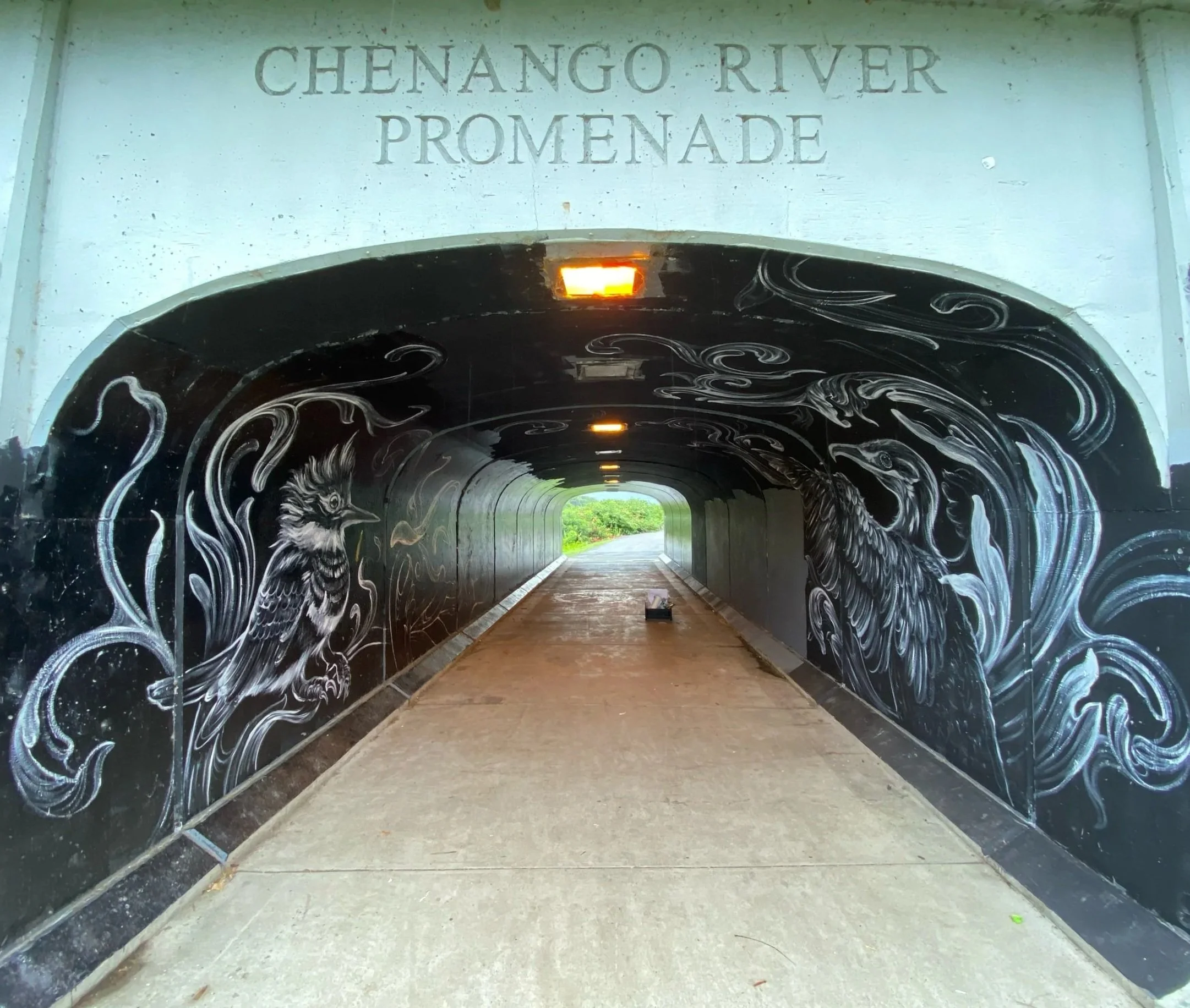 CONFLUENCE PARK TUNNEL SUSQUEHANNA WILDLIFE MURAL - BINGHAMTON NY