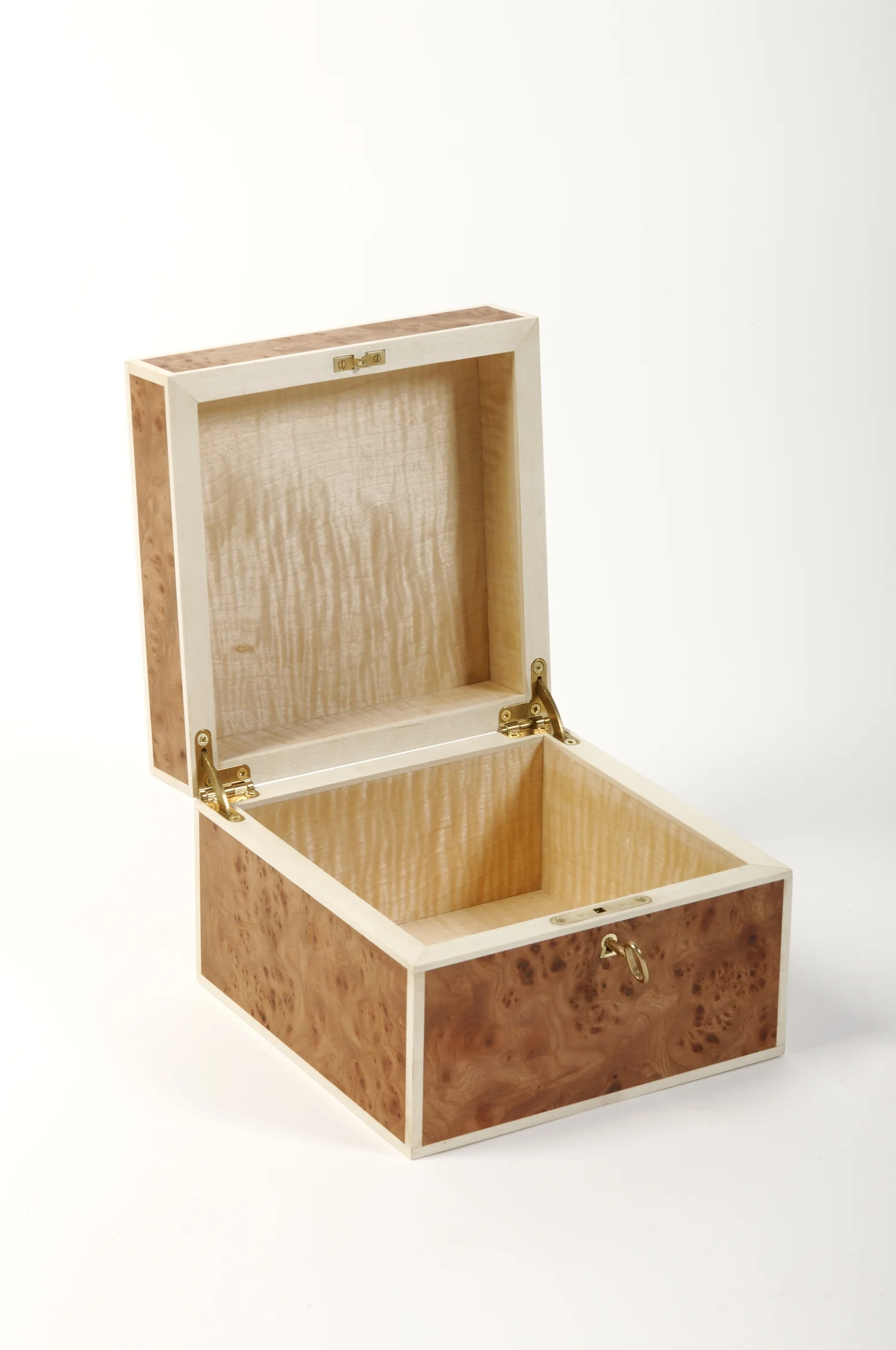 Carpathian Elm box open.jpg
