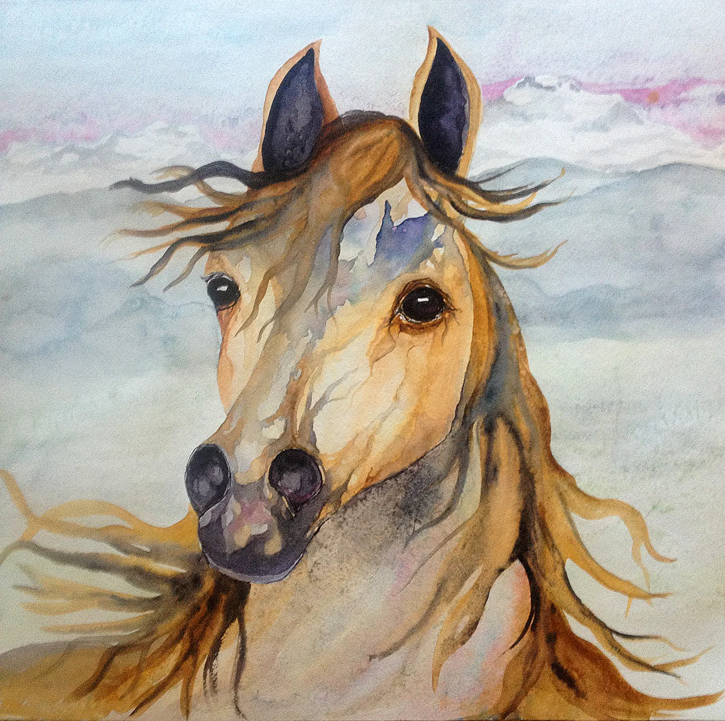 Horse.jpg