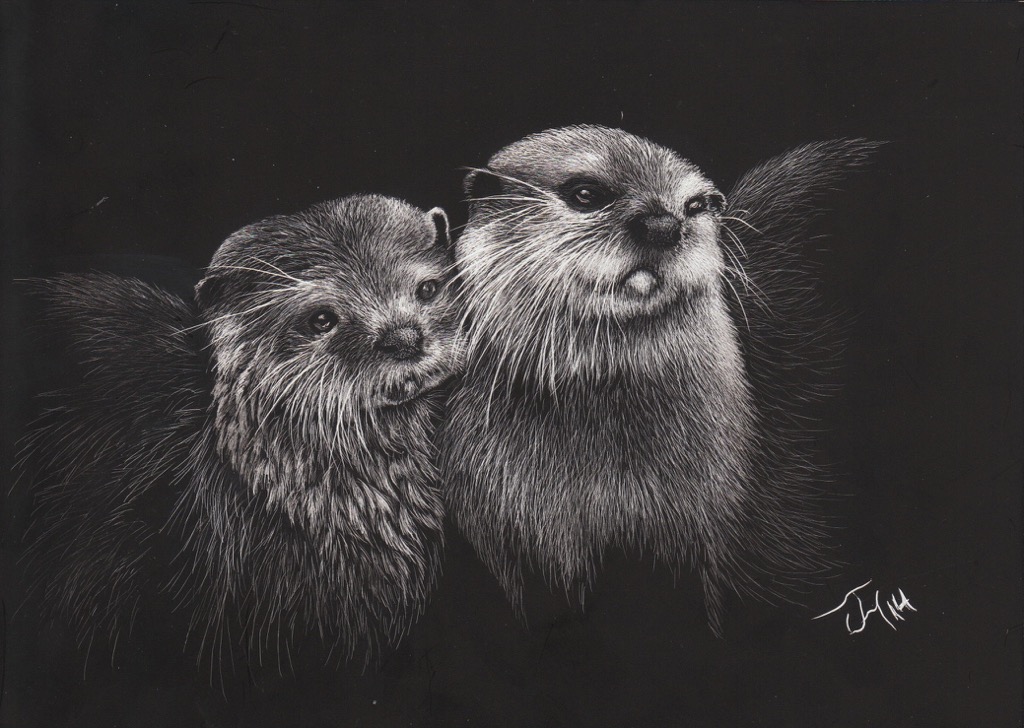 Otters-scratchboard.jpg
