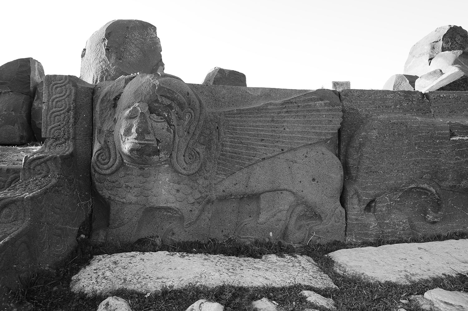 Feb 2011, © khaled akil