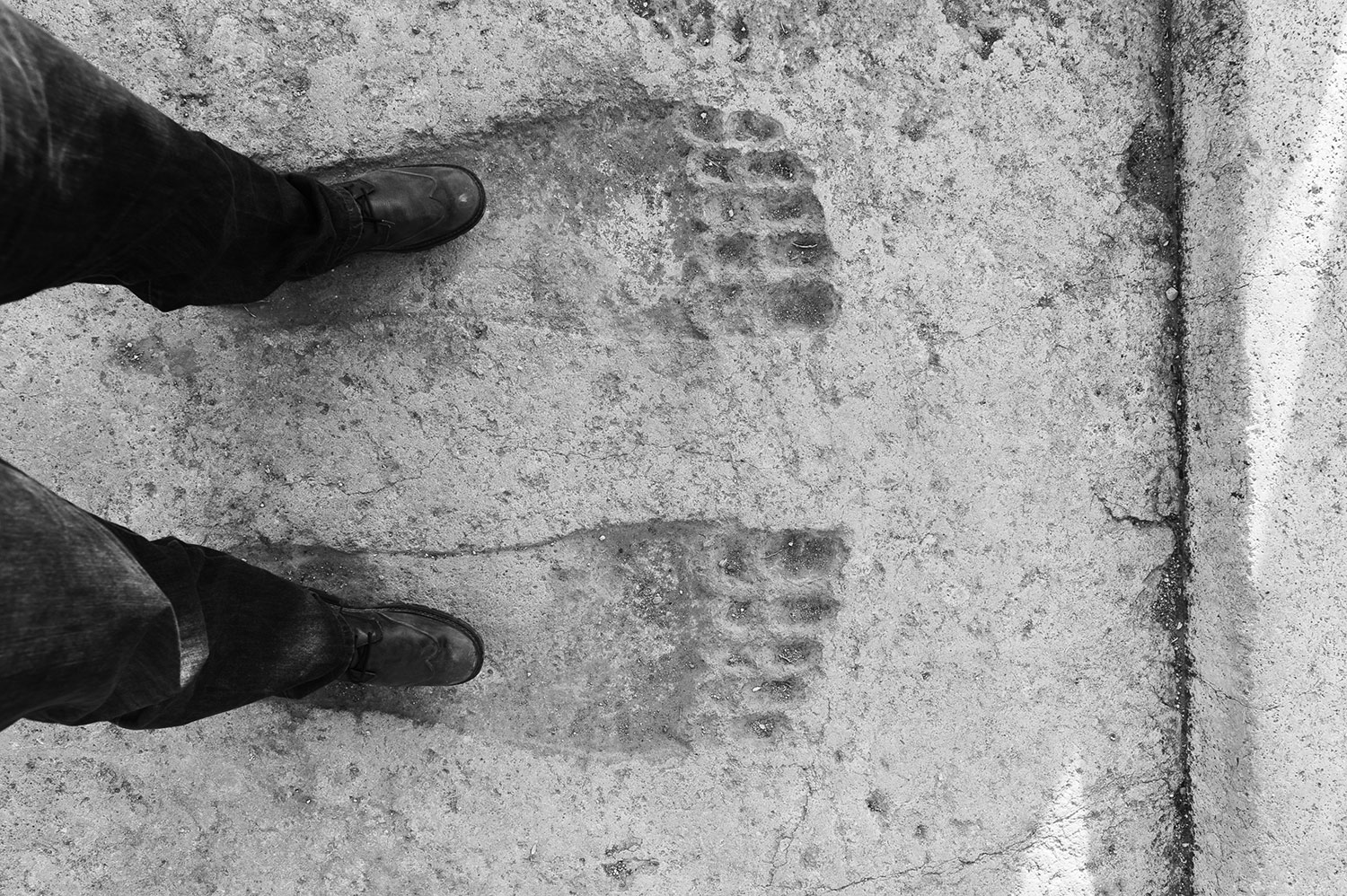 Feb 2011, © khaled akil