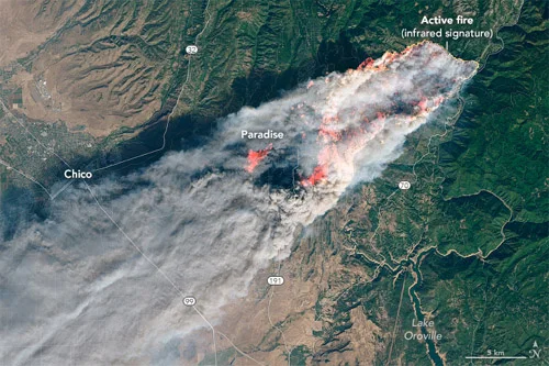 November 8, 2018 Landsat 8 image of the Campfire that consumed Paradise, CA. Image courtesy of NASA Earth Observatory