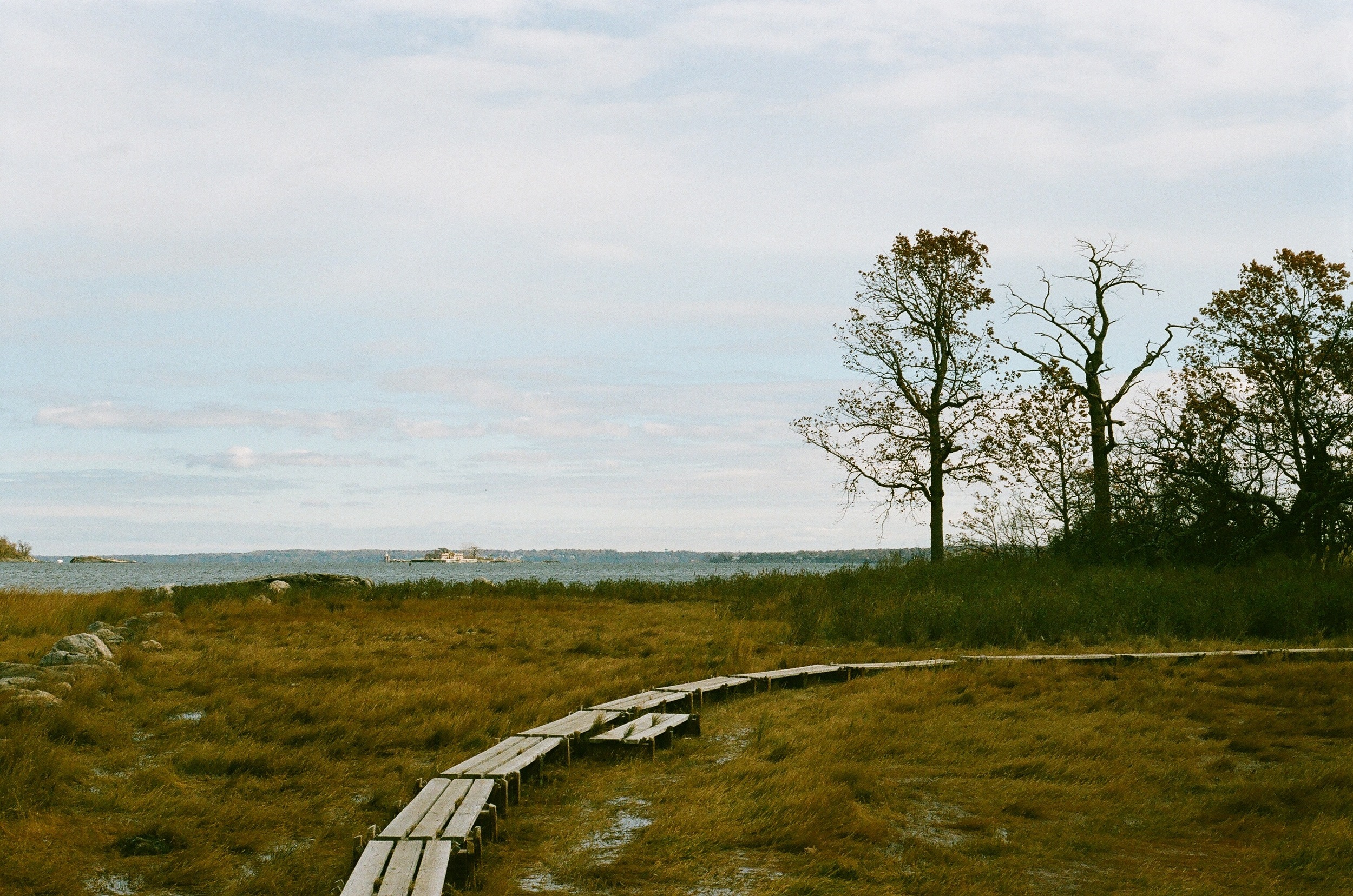 11) HOG ISLAND / WALK THE PLANK