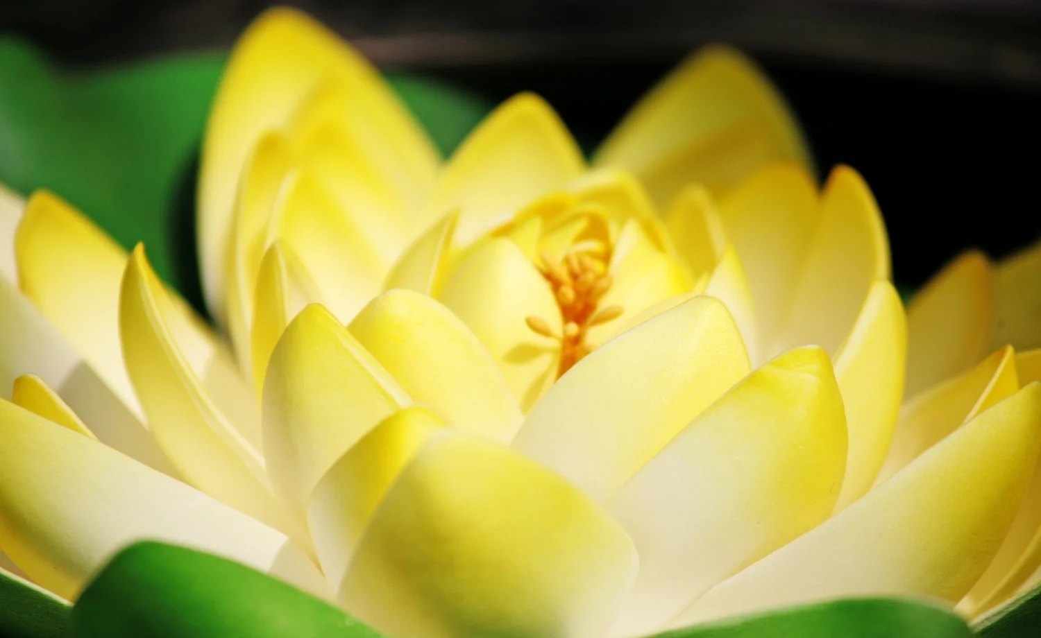 Photo by Visage/Stockbyte / Getty Images