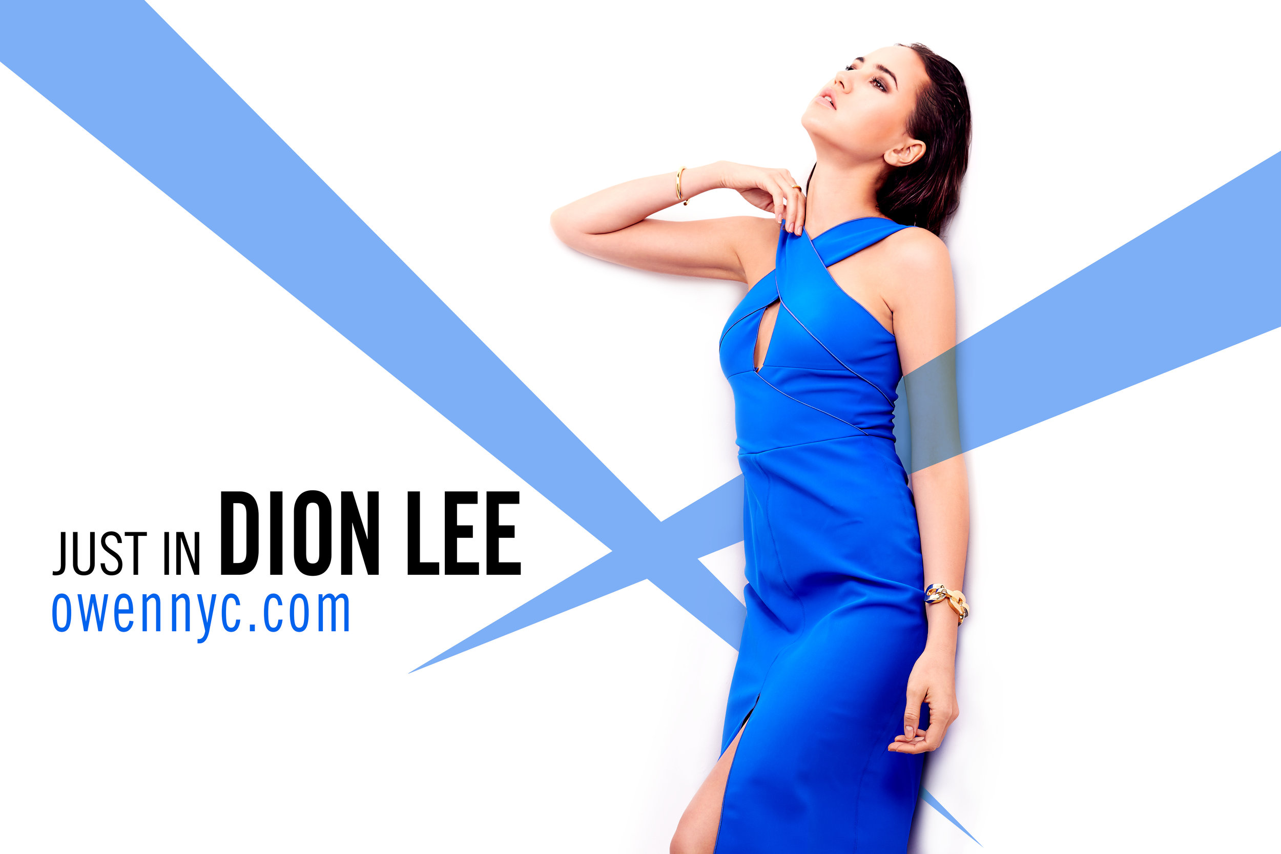 Dion Lee Flyer.jpg