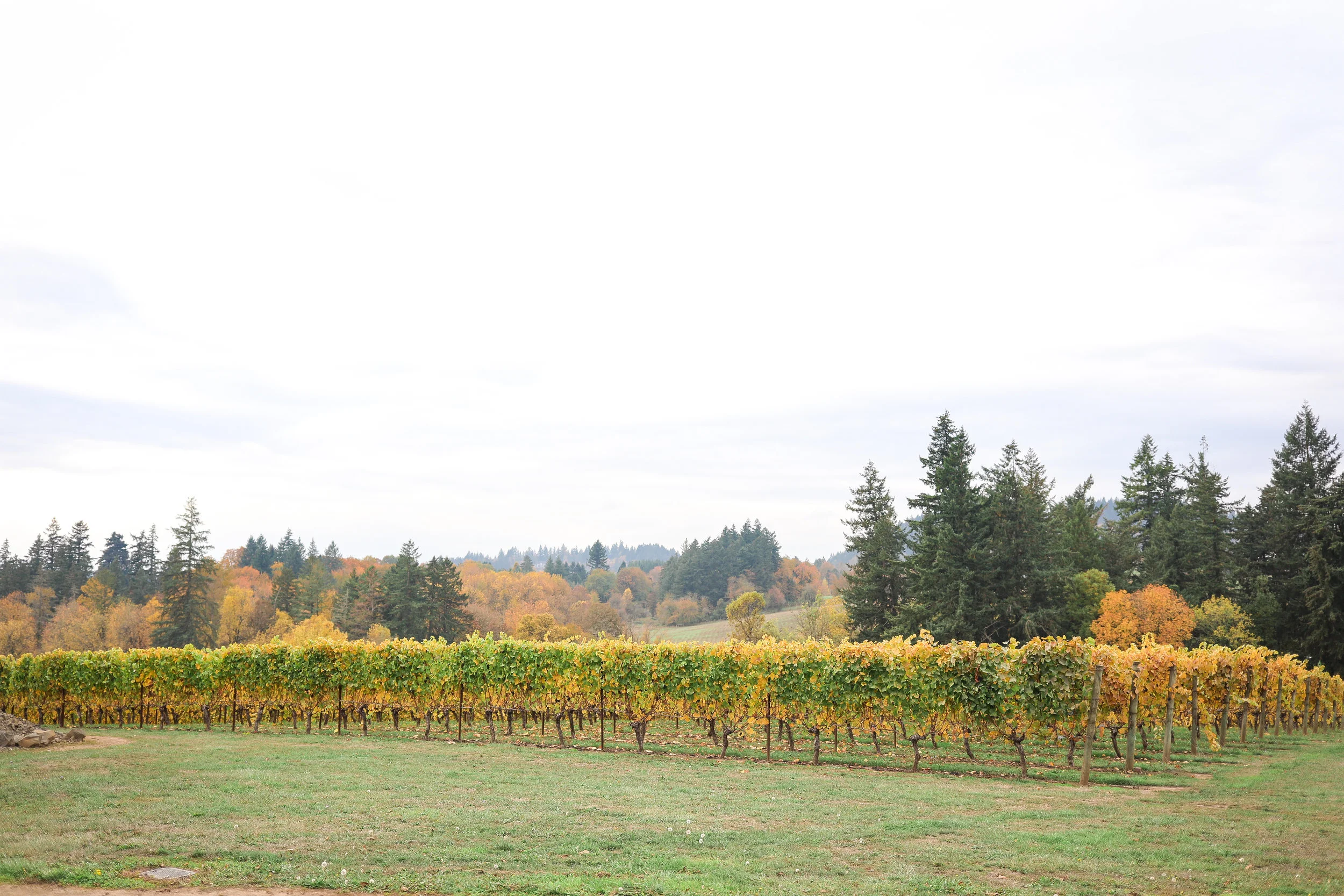 ErinFortinPhotography_SoftWinterSS-172.jpg