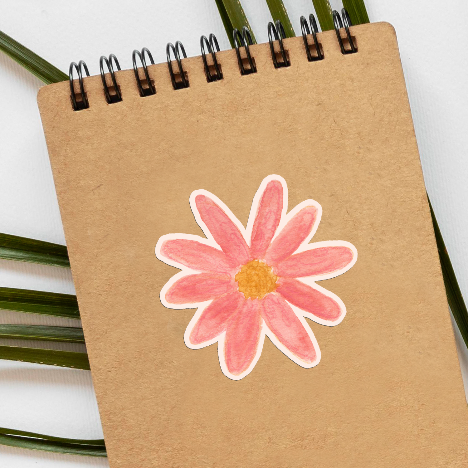 00c 0bb300e7-e15f-4ad1-bb0b-15908a881866.png