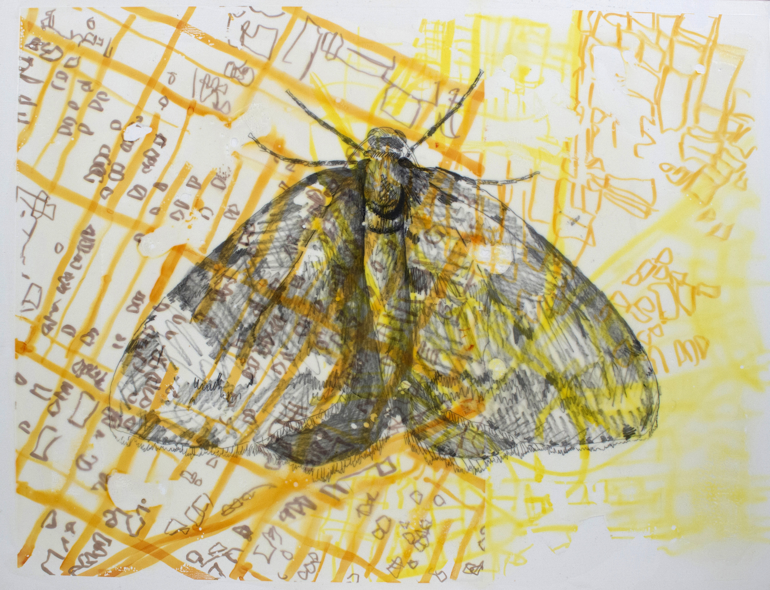 Moth drone