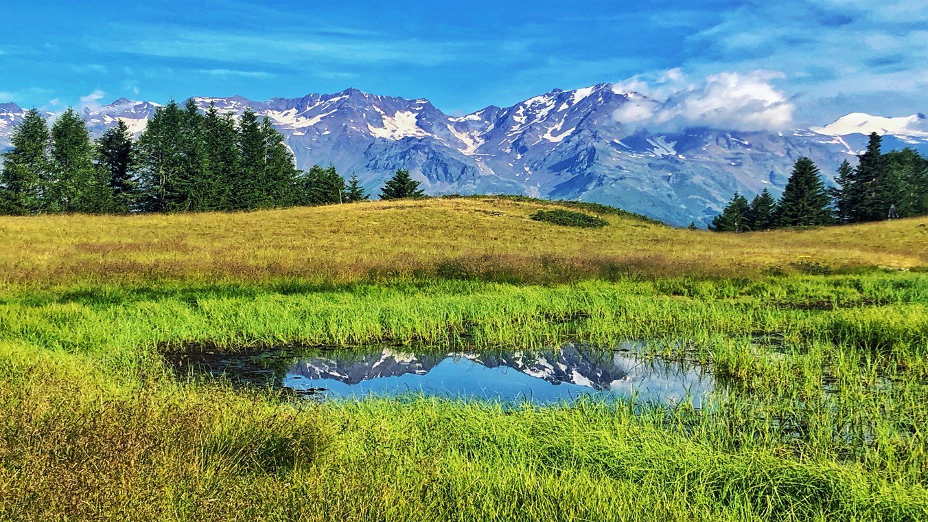 fields.jpeg