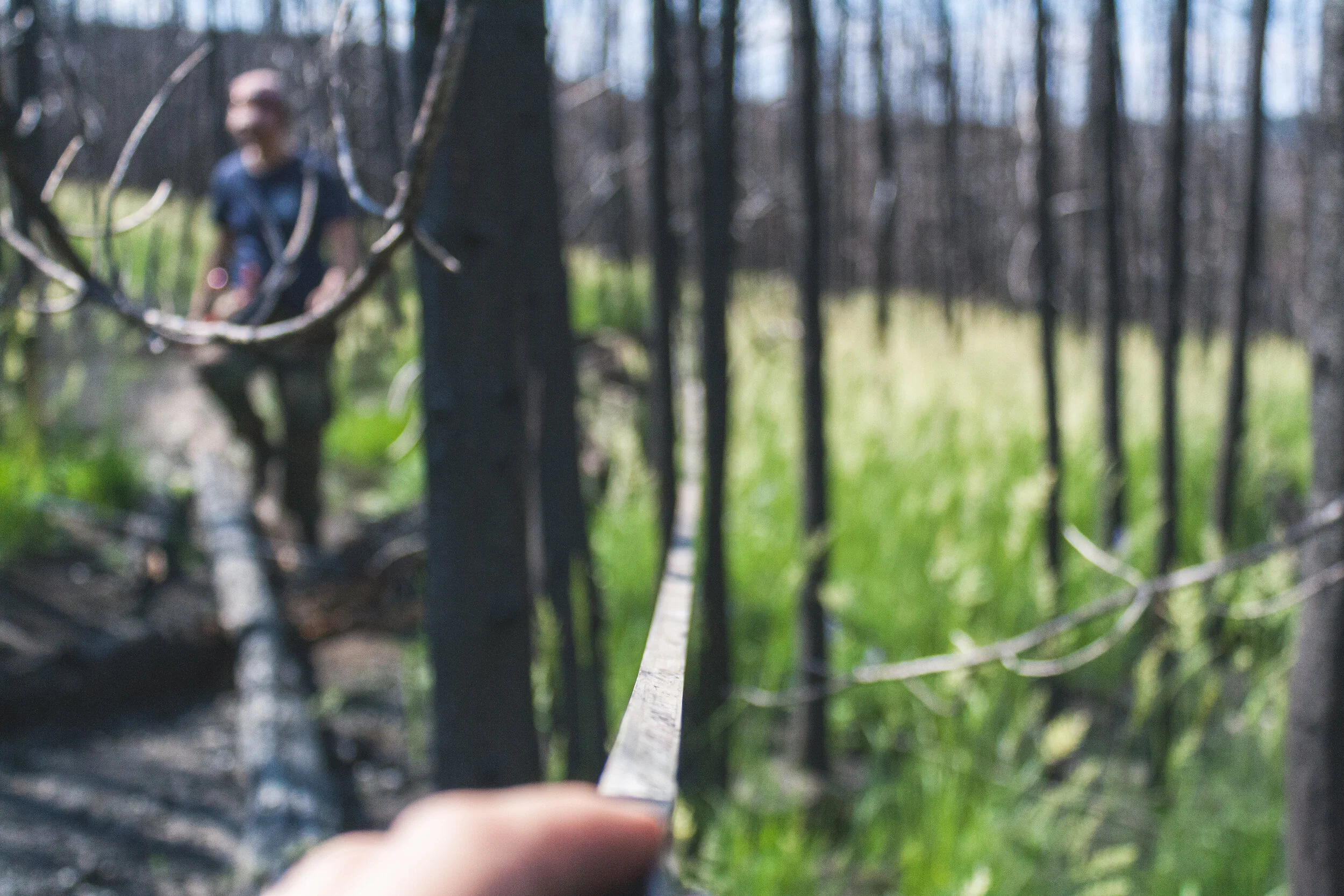 IMG_1216-July 19, 2017.jpg