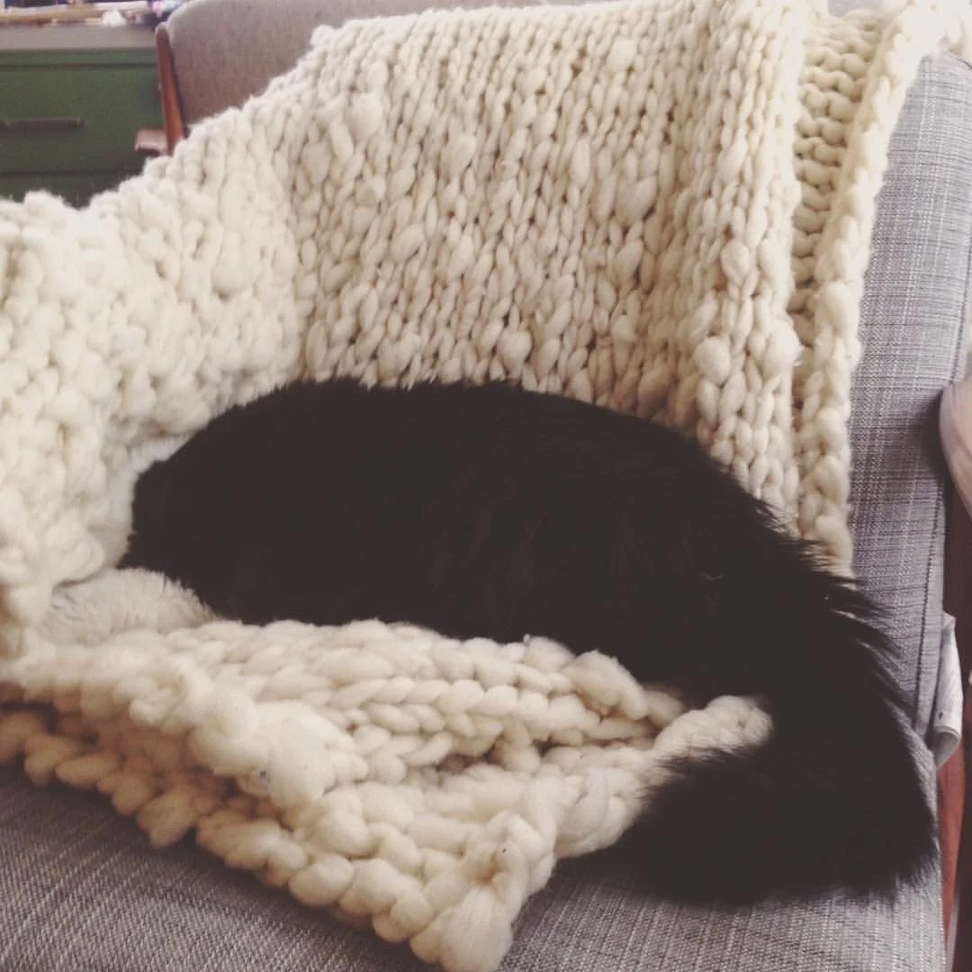Mr. Henry loving on the soon-to-be-back-to-fiber blanket