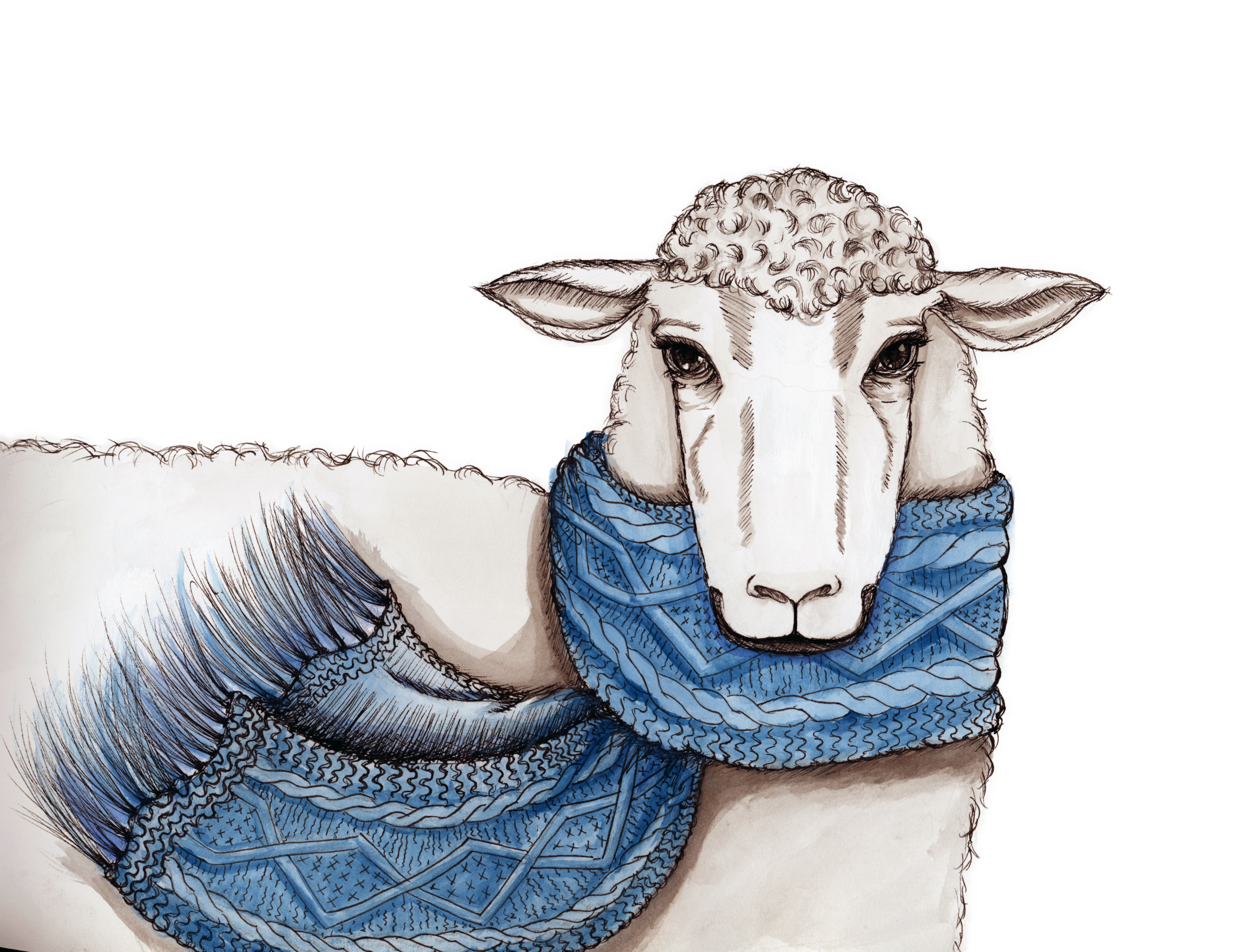 Vogue Sheep.png