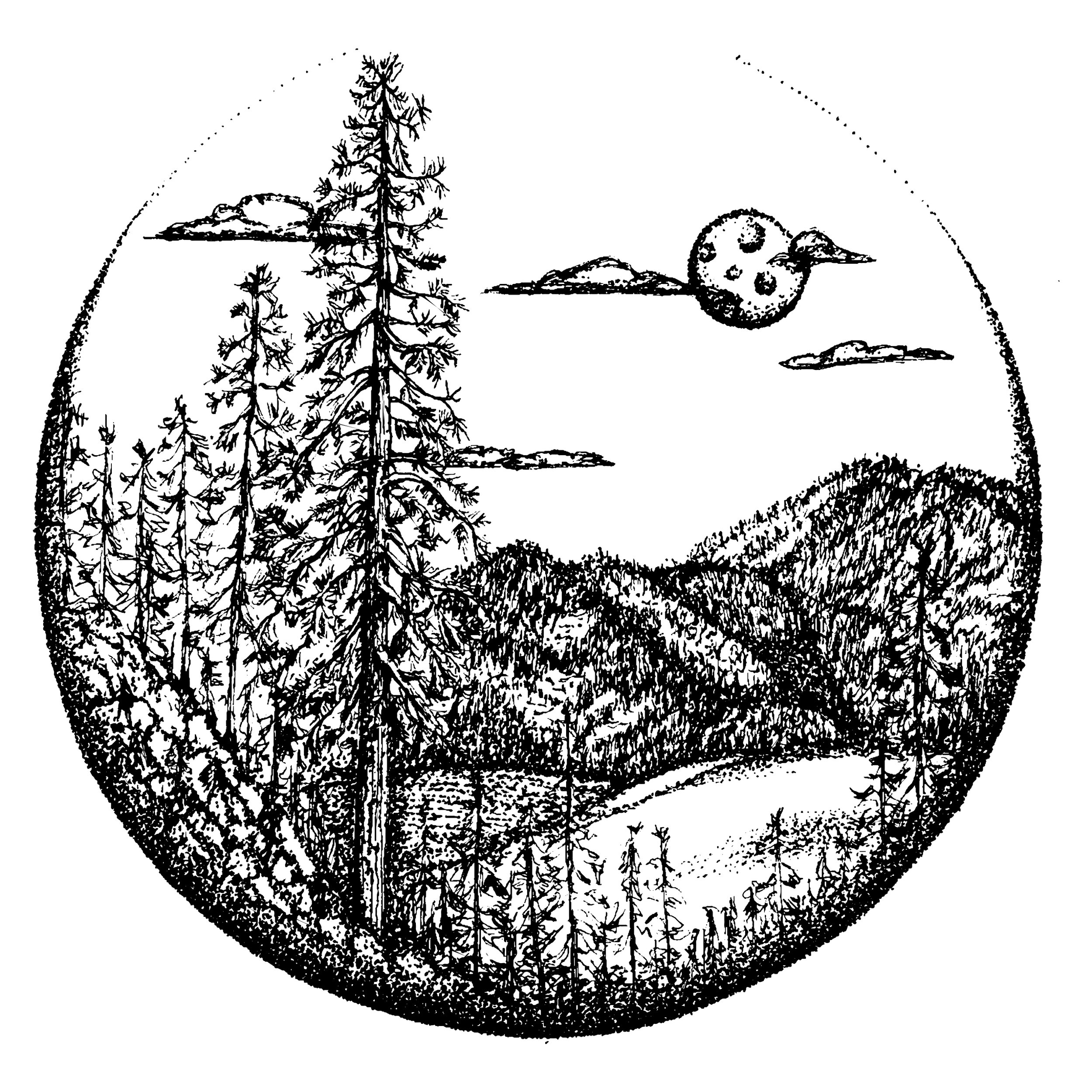 Moscow Mountain and White Pine